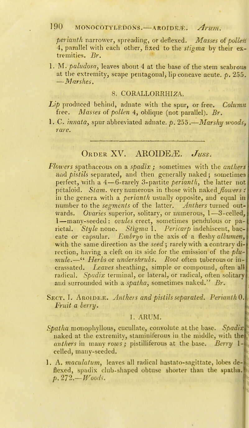 perianth narrower, spreading, or defiexed. Masses of pollen 4, parallel with each other, fixed to the stigma by their ex- tremities. Br. 1. M. paludosa, leaves about 4 at the base of the stem scabrous at the extremity, scape pentagonal, lip concave acute, p. 255. -^Marshes. 8. CORALLORRHIZA. Lip produced behind, adnate with the spur, or free. Column free. Masses of pollen 4, oblique (not parallel). Br. 1. G. innaia, spur abbreviated adnate. p. 255.—Marshy woods, rare. Order XV. AROIDEiE. Juss. Flowers spathaceous on a spadix ; sometimes with the anthers and pistils separated, and then generally naked; sometimes perfect, with a 4—6-rarely 3-partite perianth, the latter not petaloid. Stam. very numerous in those with naked flowers: in the genera with a perianth usually opposite, and equal in number to the segments of the latter. Anthers turned out- Wards. Ovaries superior, solitary, or numerous, I—3-celled, 1—many-seeded: ovules erect, sometimes pendulous or pa- rietal. Style none. Stigma 1. Pericarp indehiscent, bac- cate or capsular. Embryo in the axis of a fleshy albumen, with the same direction as the seed; rarely with a contrary di- rection, having a cleft on its side for the emission of the plu- mule.— Herbs or undershrubs. Root often tuberous or in- crassated. Leaves sheathing, simple or compound, often all radical. Spadix terminal, or lateral, or radical, often solitary and surrounded with a spatha, sometimes naked. Br. Sect. I. Aroidej1:. Antheis and pistils separated. PerianthQ. Fruit a berry. 1. ARUM. Spatha monophyllous, cucullate, convolute at the base. Spadix * naked at the extremity, stanhniferous in the middle, with the anthers ill mnny rows ; pistilliferous at the base. Berry 1- eelled, many-seeded. 1. A. maculalum, leaves all radical hastato-sagittate, lobes de-l flexed, spadix club-shaped obtuse shorter than the spatha.I p. 272.— Wood*.