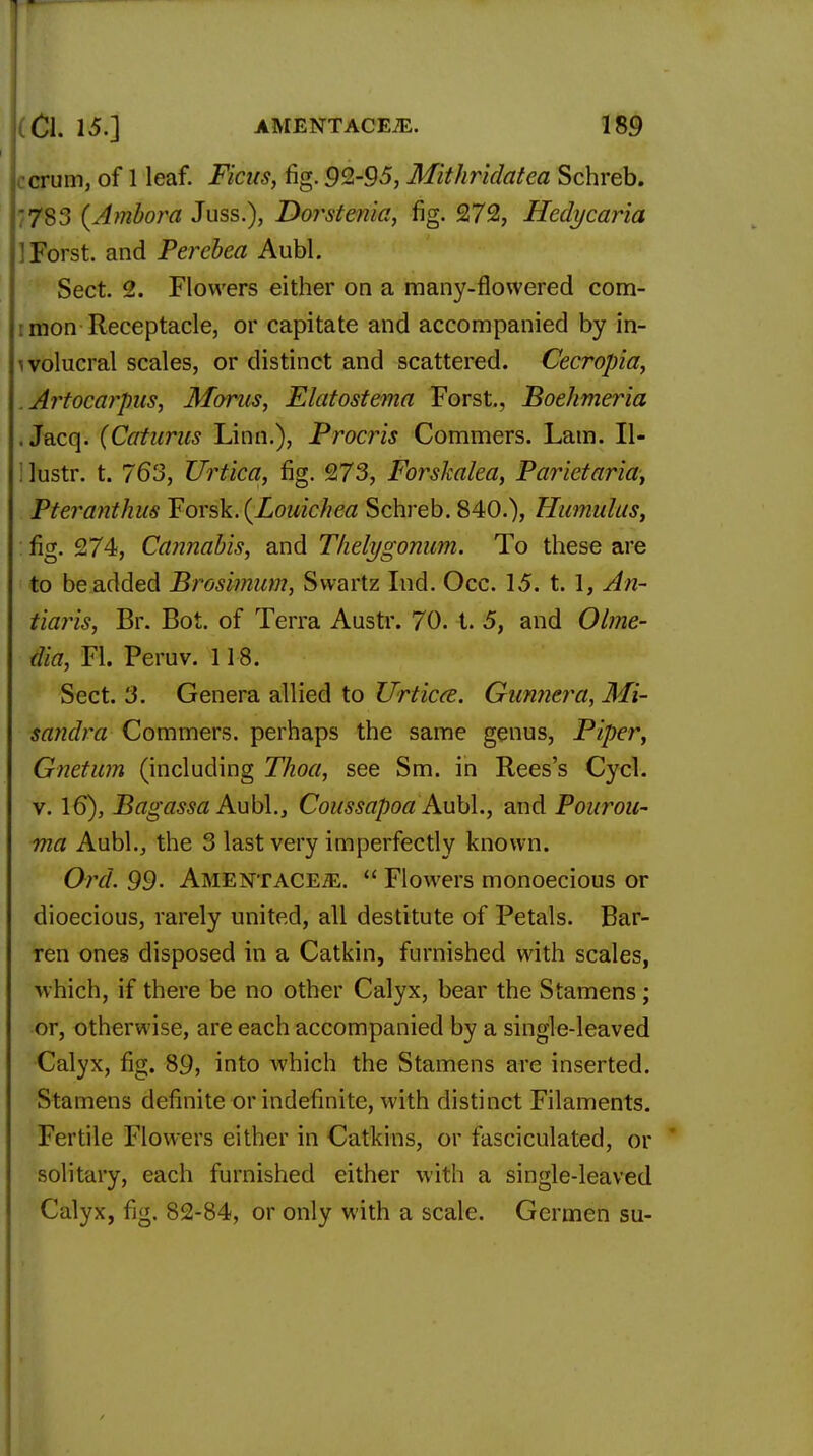 crum, of 1 leaf. Ficus, fig. 92-95, Mithridatea Schreb. :783 (Ambora Juss.), Dorstenia, fig. 272, Hedycaria !Forst. and Percbea Aubl. Sect. 2. Flowers either on a many-flowered com- mon Receptacle, or capitate and accompanied by in- ivolucral scales, or distinct and scattered. Cecropia, Artocarpus, Morus, Elatostema Forst., Boehmeria . Jacq. (Caturus Linn.), Procris Commers. Lam. II- lustr. t. 763, Urtica, fig. 273, Forskalea, Parietaria, Pteranthus Forsk. {Louichea Schreb. 840.), Humulus, : fig. 274, Cannabis, and Thelygonum. To these are to be added Brosimum, Svvartz Ind. Occ. 15. t. 1, An- tiaris, Br. Bot. of Terra Austr. 70. t. 5, and Olme- dia, Fl. Peruv. 118. Sect. 3. Genera allied to Urticce. Gunner a, Mi- sajidra Commers. perhaps the same genus, Piper, Gnetum (including Thoa, see Sm. in Rees's Cycl. v. 16), Bagassa Aubl., Coussapoa Aubl., and Pourou- ma Aubl., the 3 last very imperfectly known. Ord. 99- AitfENTACEiE.  Flowers monoecious or dioecious, rarely united, all destitute of Petals. Bar- ren ones disposed in a Catkin, furnished with scales, which, if there be no other Calyx, bear the Stamens; or, otherwise, are each accompanied by a single-leaved Calyx, fig. 89, into which the Stamens are inserted. Stamens definite or indefinite, with distinct Filaments. Fertile Flowers either in Catkins, or fasciculated, or solitary, each furnished either with a single-leaved Calyx, fig. 82-84, or only with a scale. Germen su-