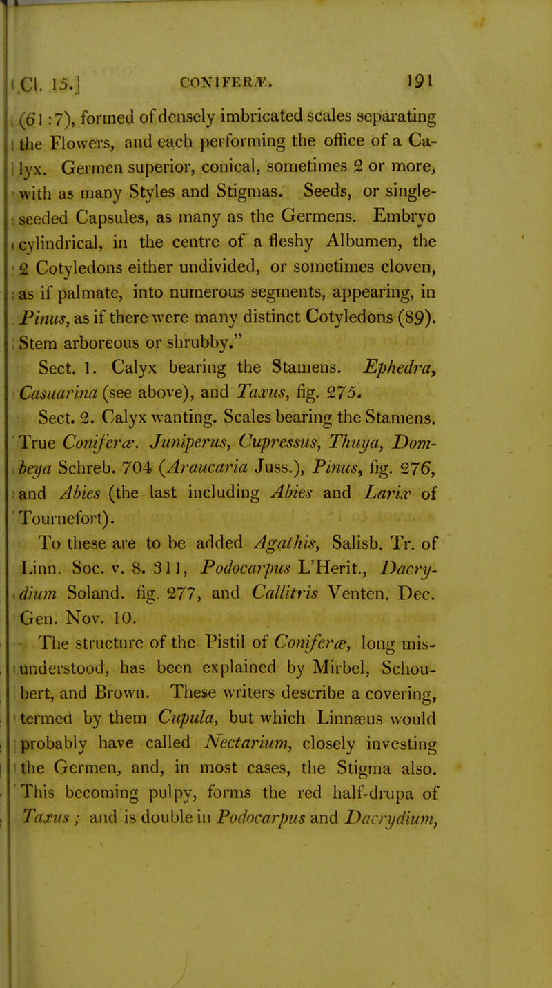 1 » CI. 15.] CONIFER*.. 191 (61:7), formed of densely imbricated scales separating the Flowers, and each performing the office of a Ca- lyx. Germen superior, conical, sometimes 2 or more, with as many Styles and Stigmas. Seeds, or single- ! seeded Capsules, as many as the Germens. Embryo i cylindrical, in the centre of a fleshy Albumen, the g Cotyledons either undivided, or sometimes cloven, : as if palmate, into numerous segments, appearing, in Finns, as if there were many distinct Cotyledons (89). Stem arboreous or shrubby. Sect. 1. Calyx bearing the Stamens. Ephedra, Casuarina (see above), and Taxus, fig. 275. Sect. 2. Calyx wanting. Scales bearing the Stamens. True Conifer'ce. Juniperus, Cupressus, Thuya, Dom- <beya Schreb. 704 (Araucaria Juss.), Pinus, fig. 9,76, and Abies (the last including Abies and Lariv of rJ ournefort). To these are to be added Agathis, Salisb. Tr. of Linn. Soc. v. 8. 311, Podocarpus L'Herit., Dac?y- dium Soland. rig. 277, and Callitris Venten. Dec. Gen. Nov. 10. The structure of the Pistil of Conifers, long mis- understood, has been explained by Mirbel, Schou- bert, and Brown. These writers describe a covering, termed by them Cupula, but which Linnaeus would probably have called Nectarium, closely investing the Germen, and, in most cases, the Stigma also. This becoming pulpy, forms the red half-drupa of Taxus ; and is double in Podocarpus and Dacrydium,