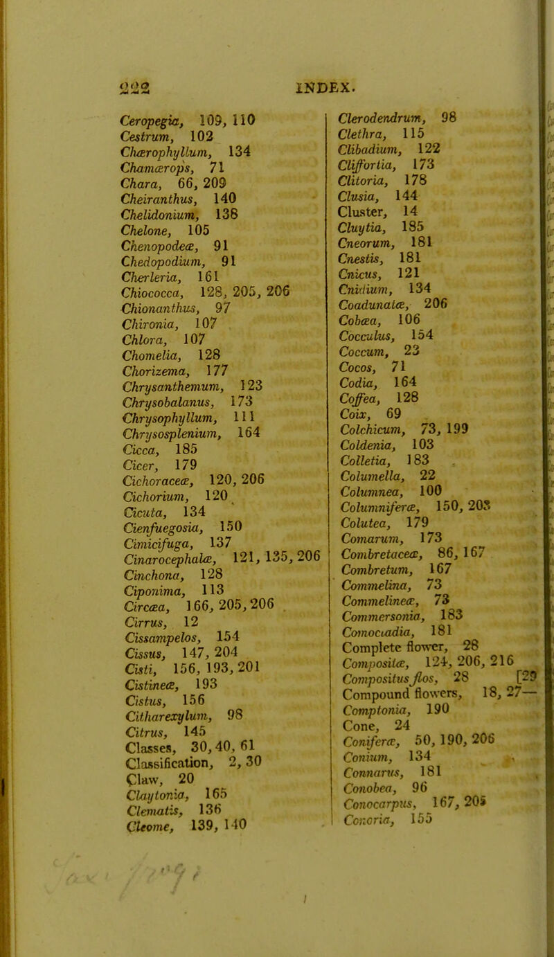 Ceropegia, 109, 110 Cestrum, 102 Chair ophyllum, 134 Chancer ops, 71 Chara, 66, 209 Cheiranthus, 140 Chelidonium, 138 Chelone, 105 Chenopodea, 91 Chedopodium, 91 Cherleria, 161 C/iiococca, 128, 205, 206 Chionanthus, 97 Chironia, 107 CAtora, 107 Chomelia, 128 Chorizema, 177 Chrysanthemum, 123 Chrysohalanus, 173 Chrysophyllum, 111 Chrysosplenium, 164 Cicca, 185 Cicer 179 CichoracecE, 120,206 Cichorium, 120 Cicztta, 134 Cienfuegosia, 150 Cimicifuga, 137 Cinarocephaltz, 121, 135,206 Cinchona, 128 Ciponima, 113 Gmea, 166, 205,206 Cirrus, 12 Cissampelos, 154 Cissus, 147, 204 Cw*i, 156,193,201 Cistinea, 193 Cistus, 156 Citharexylum, 98 Citrus, 145 Classes, 30,40,61 Classification, 2, 30 Claw, 20 Claytor.io, 165 Clematis, 136 CWne, 139, 110 Clerodendrum, 98 Ckthra, 115 Clibadium, 122 Cliffortia, 173 Clitoria, 178 Clusia, 144 Cluster, 14 Cluytia, 185 Cneorum, 181 Cnestis, 181 Cnicws, 121 Cninium, 134 Coadunatee, 206 Cofoea, 106 Cocculus, 154 Coccum, 23 Cocos, 71 Codia, 164 Cofea, 128 Coix, 69 Colchicum, 73, 199 Coldenia, 103 CoWefia, 183 Columella, 22 Columnea, 100 Columniferoe, 150, 205 Colutea, 179 Comarum, 173 Combretacea:, 86, 167 Combretum, 167 Commelina, 73 Commelinecc, 73 Commersonia, 183 Comoctadia, 181 Complete flower, 28 Comy^to, 124, 206, 216 CompositusJlos, 28 [29 Compound flowers, 18, 27— Comptonia, 190 Cone, 24 Com/em-, 50, 190,206 Co«wm, 134 Connarus, 181 Conobea, 96 Conocarpus, 167, 205