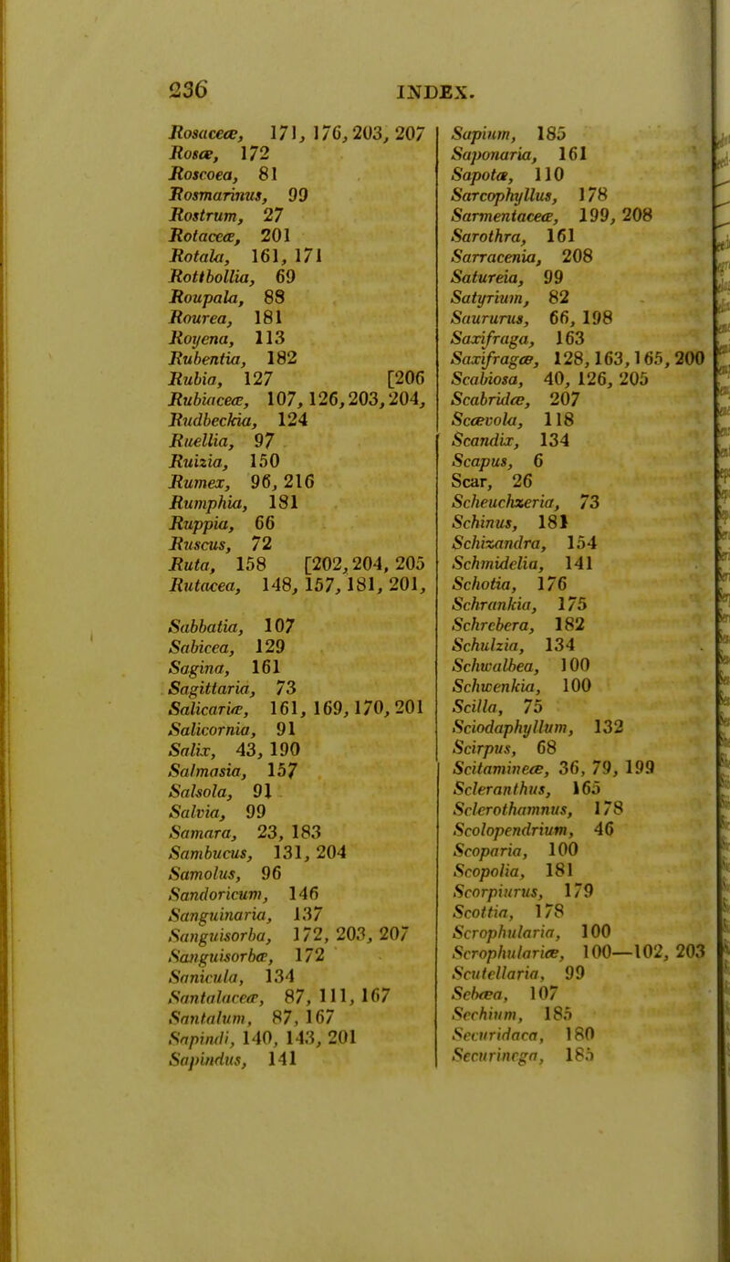 Rosacea;, \7\,\7G, 203, 207 Rosa, 172 Roscoea, 81 Rosmarinus, 99 Rostrum, 27 Rotaccce, 201 Rotala, 161, 171 Rottbollia, 69 Roupala, 88 Rourea, 181 Roijena, 113 Rubentia, 182 J2«6w, 127 [206 Rubmcea?, 107, 126,203,204, Rudbeckia, 124 Ruellia, 97 Ruizia, 150 Rutnex, 96, 216 Rumphia, 181 Ruppia, 66 Ruscus, 72 Ruta, 158 [202,204, 205 Rutacea, 148, 157, 181, 201, Sabbatia, 107 Sabicea, 129 Sagina, 161 Sagittaria, 73 Salicarire, 161, 169, 170,201 Salicornia, 91 •SVrfcr, 43, 190 Sa/masia, 157 Srtkofa, 91 -SaZrw, 99 Samara, 23, 183 Sambucus, 131, 204 Samolus, 96 Sandoricum, 146 Sanguinaria, 137 Sanguisorba, 172, 203, 207 Sanguisorba, 172 Sanicula, 134 Santalacea>, 87,111,167 Santalum, 87, 167 Sapindi, 140, 143, 201 Sapindus, 141 Sapium, 185 Saponaria, 161 Sapota, 110 Sarcophyllus, 178 Sarmentacece, 199, 208 Sarothra, 161 Sarracenia, 208 Satureia, 99 Satyrhnn, 82 Saururus, 66, 198 Saxifraga, 163 SaxifragcB, 128,163,165, 200 Scabiosa, 40, 126, 205 Scabridce, 207 Sccevolu, 118 Scandix, 134 Scopus, 6 Scar, 26 Scheuchxeria, 73 Schinus, 181 Schizandra, 154 Schmidelia, 141 Schotia, 176 Schrankia, 175 Schrcbera, 182 Schulzia, 134 Schwalbea, 100 Schwenkia, 100 Scilla, 75 tSciodaphyllum, 132 Scirpus, 68 Scitaminece, 36, 79, 199 Scleran thus, 165 Sclerothamnus, 178 Scolopendrium, 46 Scoparia, 100 Scopolia, 181 Scorpiurus, 179 Scottia, 178 Scrophularia, 100 Scrophulariee, 100—102, 203 Scutellaria, 99 Sebeea, 107 Sechium, 185 Seairidaca, 180 Secttrincga, 185