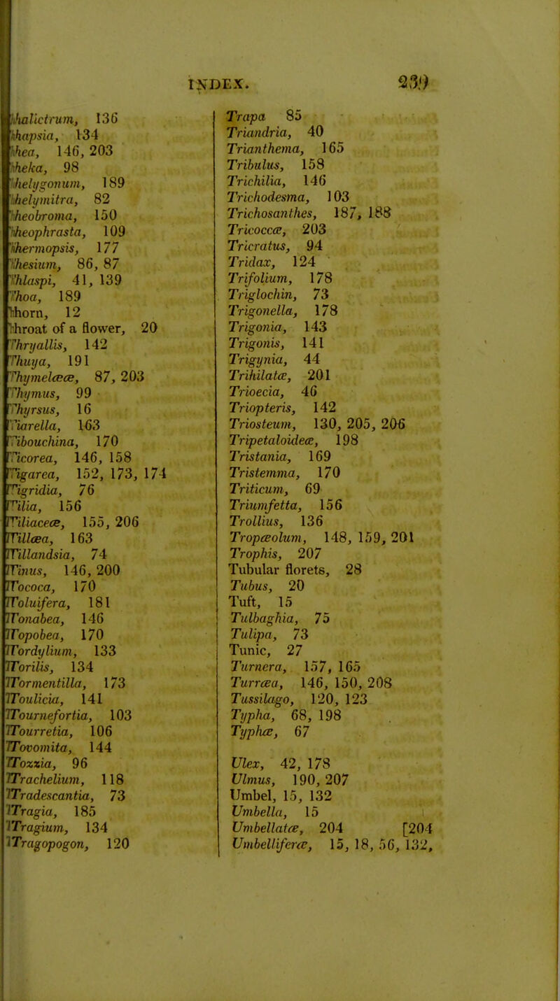 hhallctrum, 136 hhapsia, 134 Wua, 146, 203 hheka, 98 Ifoelygomim, 189 Vtelymitra, 82 hheobroma, 150 nheophrasta, 109 'kherniopsis, 177 \hesium, 86, 87 Thlaspi, 41, 139 T/ioa, 189 Miorn, 12 throat of a flower, 20 Thryallis, 142 Thuya, 191 Thymel&es, 87, 203 Thymus, 99 Thyrsus, 16 Karelia, 163 Tibouchina, 170 Ticorea, 146, 158 Ifi'irea, 152, 173, 174 Tigridia, 76 ^tiia, 156 ^iliacece, 155, 206 FTC/tea, 163 milandsia, 74 TiH«s, 146, 200 Tococa, 170 TToluifera, 181 Tonabea, 146 TTopobea, 170 ITordiilium, 133 TTorilis, 134 Tormentilla, 173 Toulicia,, 141 Tournefortia, 103 Tourretia, 106 Tovomita, 144 Toxzia, 96 Trachelium, 118 TTradescantia, 73 VTragia, 185 YTragium, 134 Tragopogon, 120 Trapa 85 Trimidria, 40 Trianthema, 165 Tribulm, 158 Trichilia, 146 Trichodesma, 103 Trkhosanthes, 187, 188 TYicocctf, 203 Tricratus, 94 'irate, 124 Trifolium, 178 Triglochin, 73 Trigonella, 178 Tngon'ia, 143 Trigonis, 141 Trigynia, 44 Trihilatce, 201 Trioecia, 46 Triopteris, 142 Triosteum, 130, 205, 206 Tripetaloidea;, 198 Tristania, 169 Tristernma, 170 Triticum, 69 Triumfetta, 156 Trollius, 136 Tropceolum, 148, 159, 201 Tropins, 207 Tubular florets, 28 20 Tuft, 15 Tulbaghia, 75 Tulipa, 73 Tunic, 27 Turner a, 157, 165 Turrara, 146, 150, 208 Tussilrigo, 120, 123 7>/m, 68, 198 Typlue, 67 Ulex, 42, 178 t/Zmws, 190, 207 Umbel, 15, 132 Umbella, 15 Umbellntre, 204 [204 Umbellifcra, 15, 18, 56, 132,