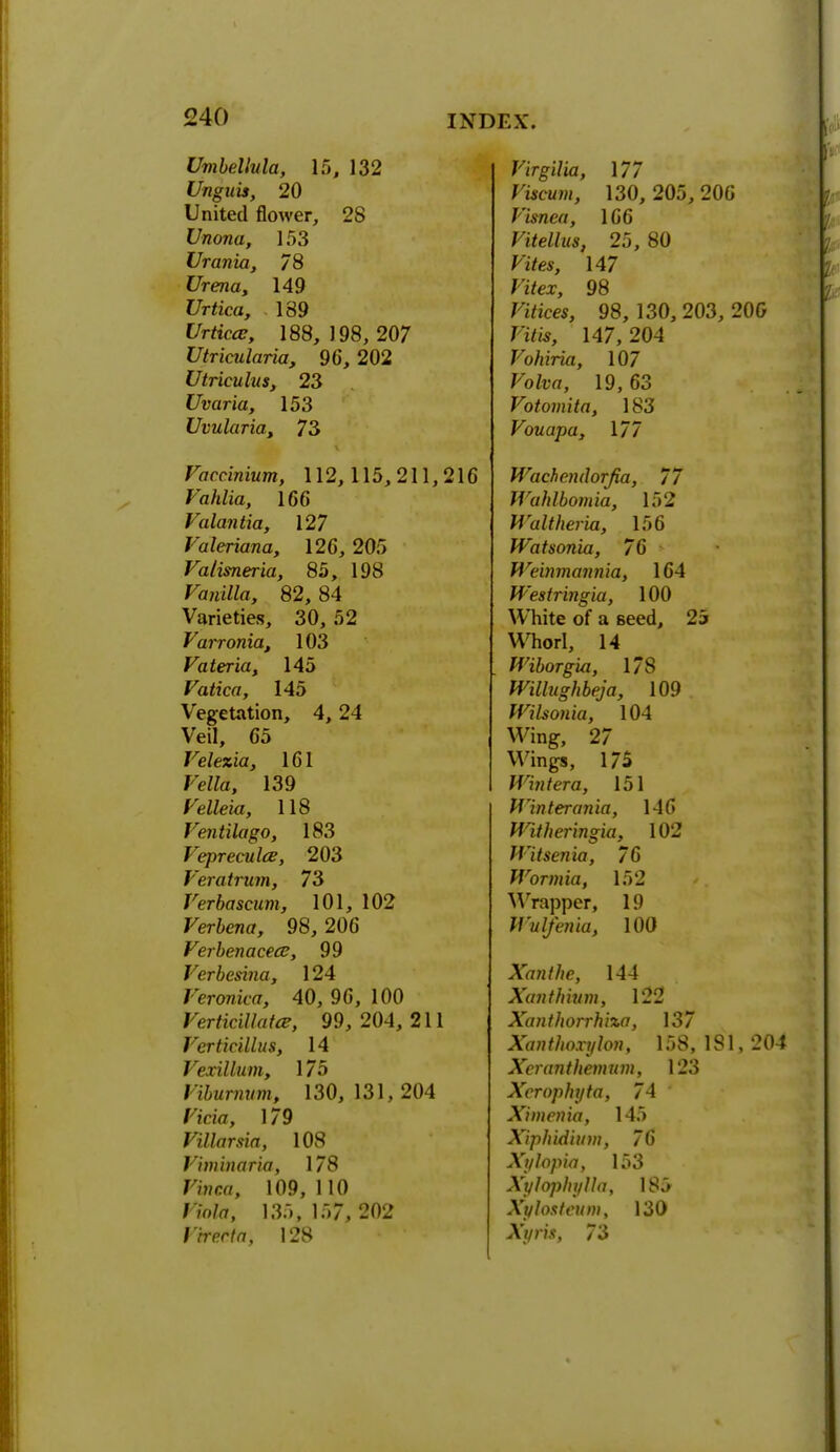 Umbellula, 15, 132 Unguis, 20 United flower, 28 Unona, 153 Urania, 78 Urena, 149 Urtica, 189 tfrtfcar, 188, 198, 207 Utricularia, 96, 202 UtriculuSy 23 Uvaria, 153 Uvularia, 73 Fttccmium, 112,115,211,216 Vahlia, 166 Valantia, 127 Valeriana, 126, 205 Vatisneria, 85, 198 FcfKi/Za, 82, 84 Varieties, 30, 52 Varronia, 103 Vateria, 145 Vatica, 145 Vegetation, 4, 24 Veil, 65 Velezia, 161 Fetfa, 139 FeZZew, 118 Ventilago, 183 Vepreculce, 203 Veratrum, 73 Verbascum, 101, 102 Verbena, 98, 206 Verbenacece, 99 Verbesina, 124 Veronica, 40, 96, 100 Vertidllatce, 99, 204, 211 Verticillus, 14 Vexillum, 175 Fi&ttrmwn, 130, 131, 204 Hr/Vr, 1/9 Villarsia, 108 V'mnnaria, 178 Finca, 109,110 fibte, 135,157, 202 Vh-crfa, 128 Virgilia, \77 Viscum, 130, 205, 206 Visnea, 166 Vitellus, 25, 80 Vites, 147 J'itex, 98 Fificw, 98, 130,203, 206 Ptiw, 147, 204 Vohiria, 107 Foit-rt, 19, 63 Votomita, 183 Vouapa, \77 Wachendorfia, 77 Wahlbomia, 152 Waltheria, 156 Watsonia, 76 Weinmannia, 164 Westringia, 100 White of a seed, 25 Whorl, 14 Wiborgia, 178 Willughbeja, 109 IVilsonia, 104 Wing, 27 Wings, 175 Whit era, 151 Mlnterania, 146 Witheringia, 102 Witsenia, 76 Wormia, 152 Wrapper, 19 IVulfenia, 100 Xanthe, 144 Xanthium, 122 Xanthorrhixa, 137 Xanthoxylon, 158, 181, 204 Xeranthemum, 123 Xerophtjta, 74 Ximenia, 145 Xiphidium, 76 Xylopia, 153 Xylophylla, 185 Xylosteum, 130 A'j/ra, 73