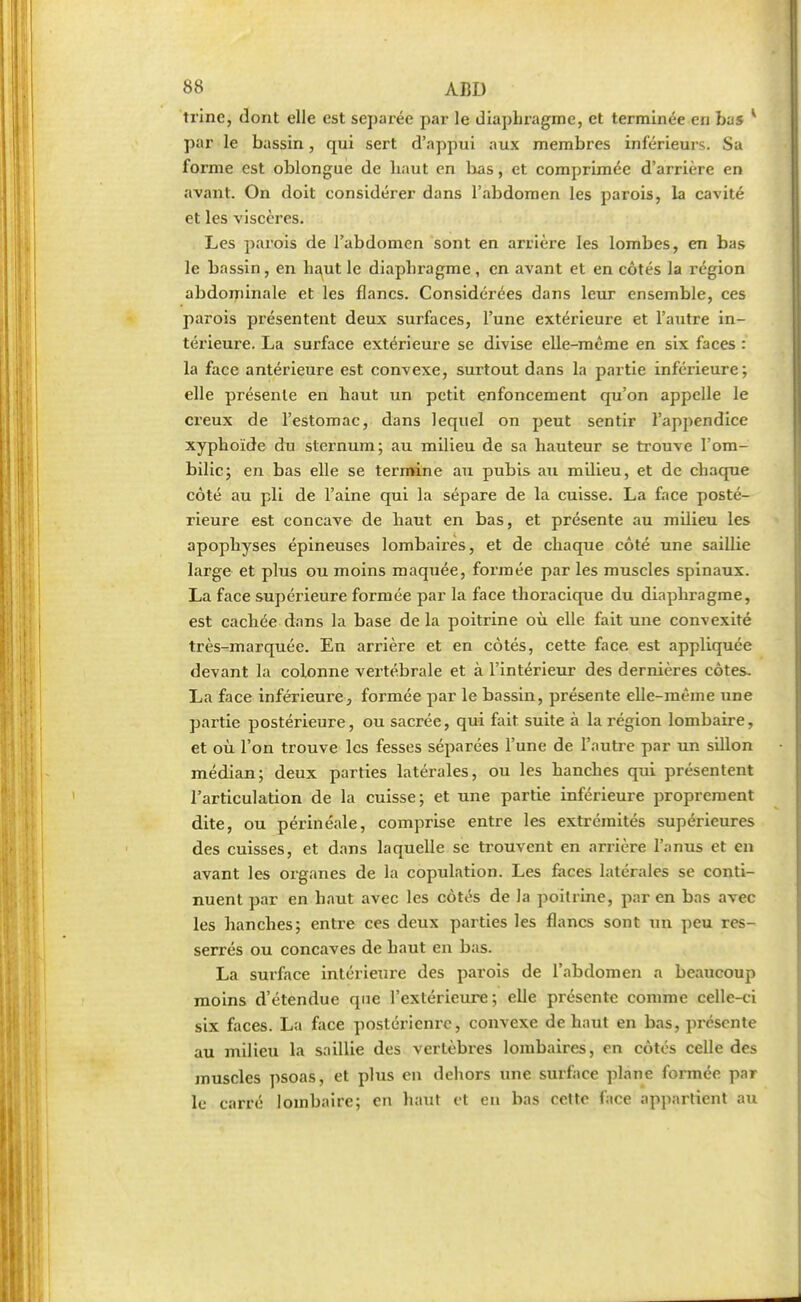 trinc, dont elle est séparée par le diaphragme, et terminée en bas 1 par le bassin, qui sert d'appui aux membres inférieurs. Sa forme est oblongue de haut en bas, et comprimée d'arrière en avant. On doit considérer dans l'abdomen les parois, la cavité et les viscères. Les parois de l'abdomen sont en arrière les lombes, en bas le bassin, en haut le diaphragme, en avant et en côtés la région abdominale et les flancs. Considérées dans leur ensemble, ces parois présentent deux surfaces, l'une extérieure et l'autre in- térieure. La surface extérieure se divise elle-même en six faces : la face antérieure est convexe, surtout dans la partie inférieure; elle présente en haut un petit enfoncement qu'on appelle le creux de l'estomac, dans lequel on peut sentir l'appendice xyphoïde du sternum; au milieu de sa hauteur se trouve l'om- bilic; en bas elle se termine au pubis au milieu, et de chaque côté au pli de l'aine qui la sépare de la cuisse. La face posté- rieure est concave de haut en bas, et présente au milieu les apophyses épineuses lombaires, et de chaque côté une saillie large et plus ou moins maquée, formée par les muscles spinaux. La face supérieure formée par la face thoracique du diaphragme, est cachée dans la base de la poitrine où elle fait une convexité très-marquée. En arrière et en côtés, cette face, est appliquée devant la colonne vertébrale et à l'intérieur des dernières côtes. La face inférieure, formée par le bassin, présente elle-même une partie postérieure, ou sacrée, qui fait suite à la région lombaire, et où l'on trouve les fesses séparées l'une de l'autre par un sillon médian; deux parties latérales, ou les hanches qui présentent l'articulation de la cuisse; et une partie inférieure proprement dite, ou périnéale, comprise entre les extrémités supérieures des cuisses, et dans laquelle se trouvent en arrière l'anus et en avant les organes de la copulation. Les faces latérales se conti- nuent par en haut avec les côtés de la poitrine, par en bas avec les hanches; entre ces deux parties les flancs sont un peu res- serrés ou concaves de haut en bas. La surface intérieure des parois de l'abdomen a beaucoup moins d'étendue que l'extérieure; elle présente comme celle-ci six faces. La face postérienre, convexe de haut en bas, présente au milieu la saillie des vertèbres lombaires, en côtés celle des muscles psoas, et plus en dehors une surface plane formée par le carré lombaire; en haut et en bas cette face appartient au
