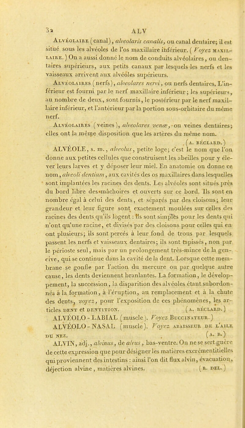 3 a ALV Alvéolaire ( canal), alveolaris canalis, ou canal dentaire; il est situé sous les alvéoles de l'os maxillaire ihférieur, ( Voyez maxil- laire. ) On a aussi donné le nom de conduits alvéolaires, ou den- taires supérieurs, aux petits canaux par lesquels les nerfs et les vaisseaux arrivent aux alvéoles supérieurs. Alvéolaires (nerfs), alveolares nervi, ou nerfs dentaires. L'in- férieur est fourni par le nerf maxillaire inférieur ; les supérieurs, au nombre de deux, sont fournis, le postérieur par le nerf maxil- laire inférieur, et l'antérieur par la portion sous-orbitaire du même nerf. Alvéolaires (veines), alveolares vence, ovL veines dentaires; elles ont la inême disposition que les artères du même nom. .(a. béclard.) ALVEOLE, s. m., alvcolics, petite loge; c'est le nom que l'on donne aux petites cellules que construisent les abeilles pour y éle- ver leurs larves et y déposer leur miel. En anatomie on donne ce nom, alveoU dentium, aux cavités des os maxillaires dans lesquelles sont implantées les racines des dents. Les alvéoles sont situés près du bord libre des»mâchoires et ouverts sur ce bord. Ils sont en nombre égal à celui des dents, et séparés par des cloisons; leur grandeur et leur figure sont exactement moulées sur celles des racines des dents qu'ils logent : îls sont simples pour les dents qui n'ont qu'une racine, et divisés par des cloisons pour celles qui en ont plusieurs; ils sont percés à leur fond de trous par lesquels passent les nerfs et vaisseaux dentaires; ils sont tapissés, non par le périoste seul, mais par un prolongement très-mince de la gen- cive, qui se continue dans la cavité de la dent. Lorsque cette mem- brane se gonfle par l'action du mercure ou par quelque autre cause, les dents deviennent branlantes. La formation, le dévelop- pement, la succession, la disparition des alvéoles étant subordon- nés à la formation, à l'éruption, au remplacement et à la chute des dents, voyez, pour l'exposition de ces phénomènes, les ar- ticles dent et dentition, (a. béclard.) ALVÉOLO - LABIAL (muscle). Fnycz Buccinatkur.) ALVÉOLO - NASAL (muscle). Voyez abaisseub dk l'ailk DU NEZ. . (a. B.) ALVIN, adj., alviiius, de alvus, bas-ventre. On ne se sert guère de cette expression que pour désigner les matières excrémcntitiellcs qui proviennent des intestins : ainsi l'on dit fluxalvin, évacuation, déjection alvine , matières alvincs. ( R- del. )