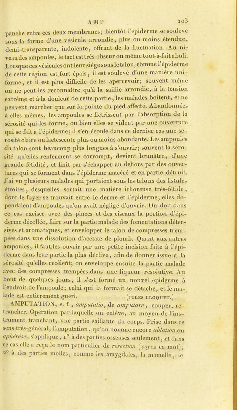 pancLe entre ces deux menibraues; bientôt l'épiderme se soulève sous la forme d'une vésicule arrondie, plus ou moins étendue, demi-transparente, indolente, offrant de la fluctuation. Au ni- veau des ampoules, le tact est très-obscur ou même tout-à-fait aboli. Lorsque ces vésicules ont leur siège sous le talon, comme l'épiderme de cette région est fort épais, il est soulevé d'une manière uni- forme, et il est plus difficile de les apercevoir; souvent même on ne peut les reconnaître qu'à la saillie arrondie, à la tension extrême et à la douleur de cette partie, les malades boitent, et ne peuvent marcher que sur la pointe du pied affecté. Abandonnées à elles-mêmes, les ampoules se flétrissent par l'absorption de la sérosité qui les forme, ou bien elles se vident par une ouverture qui se fait à l'épiderme; il s'en écoule dans ce dernier cas une sé- rosité claire ou lactescente plus ou moins abondante. Les ampoules du talon sont beaucoup plus longues à s'ouvrir; souvent la séro- sité qu'elles renferment se corrompt, devient brunâtre ^ d'une grande fétidité, et finit par s'échapper au dehors par des ouver- tures qui se forment dans l'épiderme macéré et en partie détruil. J'ai vu plusieurs malades qui portaient sous les talons des fistules étroites, desquelles sortait une matière ichoreuse très-fétide, dont le foyer se trouvait entre le derme et l'épiderme; elles dé- pendaient d'ampoules qu'on avait négligé d'ouvi'ir. Ou doit dans ce cas exciser avec des pinces et des ciseaux la portion d'épi- derme décollée, faire sur la partie malade des fomentations déter- sives et aromatiques, et envelopper le talon de compresses trem- pées dans une dissolution d'acétate de plomb. Quant aux autres ampoules, il faut,les ouvrir par une petite incision fiite à l'épi- derme dans leur partie la plus déclive, afin de donner issue à la sérosité qu'elles recèlent; on enveloppe ensuite la partie malade avec des compresses trempées dans une liqueur résolutive. Au bout de quelques jours, il s'est formé un nouvel épiderme à l'endroit de l'ampoule; celui qui la formait se détache, et le ma- lade est entièrement guéri. (jules cloquet.) AMPUTATION, s. f., amputatio, de ampiUare, couj>er, re- trancher. Opération par laquelle on enlève, au moyen de l'ins- Irument tranchant, une partie saillante du corps. Prise dans ce sens très-général, l'amputation, qu'on nomme encore ablation ou aphérèse, s'applicjue, i° à des parties osseuses seulement, ,et dans ce cas elle a reçu le nom particulier de résection [voyez ce mot); a à des parties molles, comme les amygdales, la mamcjic, le