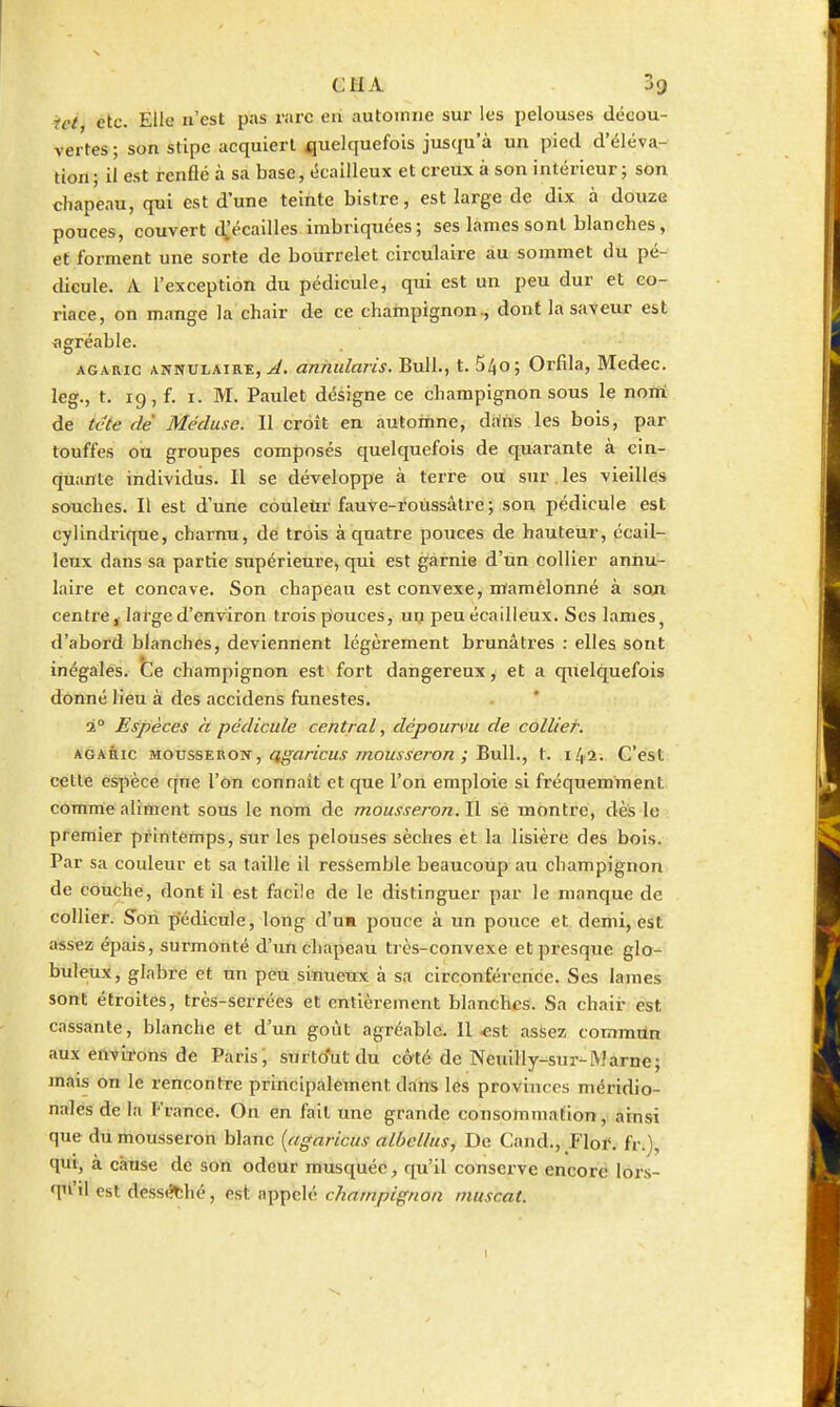 iet etc. Elle n'est pas rare en autOTiiiie sur les pelouses décou- vertes; son stipe acquiert jguelquefois jusqu'à un pied d'éléva- tion; il est renflé à sa base, écailleux et creux à son intérieur; son chapeau, qui est d'une teinte bistre, est large de dix à douze pouces, couvert d.'écalUes imbriquées; ses lames sont blanches, et forment une sorte de bourrelet circulaire au sommet du pé- dicule. A l'exception du pédicule, qui est un peu dur et co- riace, on mange la chair de ce champignon., dont la saveiir est agréable. AGARIC ANNULAIRE,^, anhiilaris. Bull., t. 540; Orfila, Med«c. leg., t. 19, f. I. M. Paulet désigne ce champignon sous le noni de tete de Méduse. Il croît en automne, drtns les bois, par touffes ou groupes composés quelquefois de quarante à cin- quante individus. II se développe à terre ou sur les vieilles souches. Il est d'une couleùr fauve-roùssâtre ; son pédicule est cylindrique, charnu, dé trois à quatre pouces de hauteur, pcail- leux dans sa partie supérieure, qui est garnie d'ùn collier annu- laire et concave. Son chapeau est convexe, mamelonné à som centre ï large d'environ trois pouces, un peu écailleux. Ses lames ^ d'abord blanches, deviennent légèrement brunâtres : elles sont inégales. Ce champignon est fort dangereux, et a quelquefois donné lieu à des accidens funestes. à Espèces h pédicule central, dépourvu de collieh AGARIC M.ov&s^v.Q-^i, cigaricus mousseron ; ^\x\\., t. 142. C'est cette espèce que l'on connaît et que l'on emploie si fréquemment comme aliment sous le nom de mousseron. Il se montre, dès le premier printemps, sur les pelouses sèches èt la lisière des bois. Par sa couleur et sa taille il ressemble beaucoup au champignon de couche, dont il est facile de le distinguer par le manque de collier. Son pédicule, long d'un pouce à un pouce et demi, est assez épais, surmonté d'un chapeau très-convexe et presque glo- buleux, glabre et un peu sinueux à sa circonférence. Ses lames sont étroites, très-serrées et entièrement blanches. Sa chair est cassante, blanche et d'un goût agréable. Il «st assez commun aux environs de Paris; surtcTut du câté de Neuilly-sur-Marne; mais on le rencontre principalement dans les provinces méridio- nales de la France. On en fait une grande consommation, ainsi que dii mousseron blanc {agaricus albetlus, De Cand., Flor, fr.), qui, à cause de son odeur musquée, qu'il conserve encoré lors- qu'il est dess(?thé, est: appelé champignon muscat.