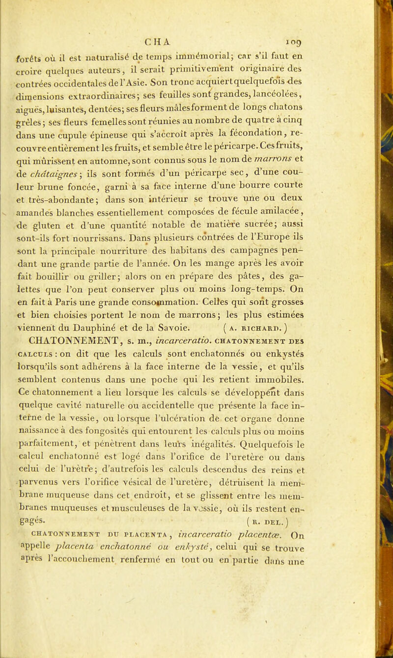 forêts où il est naturalisé de temps immémorial; car s'il faut en croire quelques auteurs, il serait primitivement originaire des contrées occidentales de l'Asie. Son tronc acquiert quelquefois des Ydimensions extraordinaires; ses feuilles sont grandes, lancéolées, aiguës, luisantes, dentées; ses fleurs mâles forment de longs chatons grêles ; ses fleurs femelles sont réunies au nombre de quatre à cinq dans une cupule épineuse qui s'accroît après la fécondation, re- couvre entièrement les fruits, et semble être le péricarpe. Ces fruits, qui mûrissent en automne, sont connus sous le nom de manxjns et de châtaignes ; ils sont formés d'un péricarpe sec, d'une cou- leur brune foncée, garni à sa face interne d'une bourre courte et très-abondante ; dans son intérieur se trouve une ou deux amandes blanches essentiellement composées de fécule amilacée, de gluten et d'une quantité notable de matière sucrée; aussi sont-ils fort nourrissans. Dans plusieurs contrées de l'Europe ils sont la principale nourriture des habitans des campagnes pen- dant une grande partie de l'année. On les mange après les avoir fait bouillir ou griller ; alors on en prépare des pâtes, des ga- lettes que l'on peut conserver plus ou moins long-temps. On en fait à Paris une grande consooimation. Celles qui sont grosses «t bien choisies portent le nom de marrons ; les plus estimées viennent du Dauphiné et de la Savoie. ( a. rjcharii. ) CHATONNEMENT, s. m., incarceratio. chatonnement des •calculs : on dit que les calculs sont enchatonnés ou enkystés lorsqu'ils sont adhérens à la face interne de la vessie, et qu'ils semblent contenus dans une poche qui les retient immobiles. Ce chatonnement a lieu lorsque les calculs se développént dans quelque cavité naturelle ou accidentelle que présente la face in- terne de la vessie, ou lorsque l'ulcération de cet organe donne naissance à des fongosilés qui entourent les calculs plus ou moins parfaitement, et pénètrent dans leurs inégalités. Quelquefois le calcul enchatonné est logé dans l'orifice de l'uretère ou dans celui de l'urètre; d'autrefois les calculs descendus des reins et parvenus vers l'orifice vésical de l'uretère, détriiisent la mem- brane nmqueuse dans cet endroit, et se glissent entre les mem- branes muqueuses et musculeuses de lavossie, où ils restent en- gages, (r. TEL.) CHATONNEMENT DU PLACENTA, incarccratio placentœ. On appelle placenta enchatonné ou enkysté, celui qui se trouve après l'accouchement renfermé en tout ou en'partie dnils une