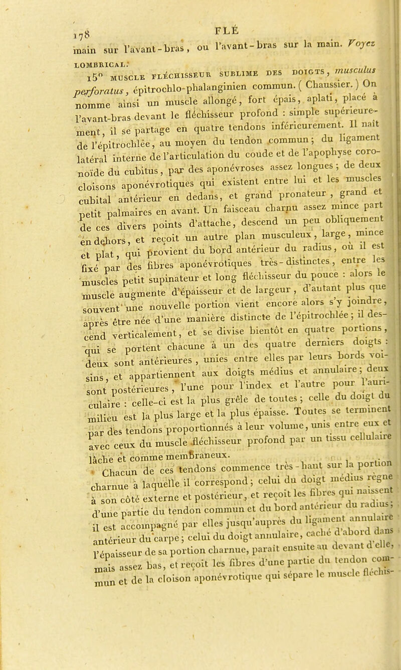 ïj$ FLÉ main sur l'avant-bras, ou l'avant-bras sur la main. Voyez LOMBRICAli.' , l5° MUSCLE FLÉCHISSE UU SUBLIME DES DOIGTS, mUSCuluS perforatus, épitrochlo-phalanginien commun. ( Chaussier ) On nomme ainsi un muscle allongé, fort épais, aplati, place a l'avant-bras devant le fléchisseur profond : simple superieure- ment il se partage en quatre tendons inféricurement. Il naît del'é'pitrochlée, au moyen du tendon commun; du ligament latéral interne de l'articulation du coude et de l'apophyse coro- noïde du cubitus, par des aponévroses assez longues ; de deux cloisons aponévrotiques qui existent entre lui et les muscles cubital antérieur en dedans, et grand pronateur , grand e petit palmaires en avant. Un faisceau charnu assez mmce part de ces divers points d'attache, descend un peu obliquement en dehors, et reçoit un autre plan musculeux large, mmce et plat, qui provient du bord antérieur du radius, ou il est fixé par des fibres aponévrotiques très-distinctes , entre les muscles petit supinateur et long fléchisseur du pouce : alors le muscle augmente d'épaisseur et de largeur , d autant plus que souvent'une nouvelle portion vient encore alors s y joindre, après être née d'une manière distincte de l'épitrochlee ; il des- cend verticalement, et se divise bientôt en quatre portions, oui se portent chacune à un des quatre derniers doigts : j deux sont antérieures , unies entre elles par leurs bords voi- sins et appartiennent aux doigts médius et annulaire ; deux ont' postérieures, l'une pour l'index et l'autre pour 1 auri- culaire : celle-ci est la plus grêle de toutes ; celle du doigt du milieu est la plus large et la plus épaisse. Toutes se terminen par des tendons proportionnés à leur volume, unis entre eux et avec ceux du muscle fléchisseur profond par un tissu cellulaire lâche et comme memBraneux. Chacun de ces tendons commence très-haut sur a portion charnue a laquelle ïî correspond; celui du doigt médius règne f soTcôté externe et postérieur, et reçoit les fibres qui naissen dCe partie du tendon commun et du bord antérieur du radius U est accompagné par elles jusqu'auprès du ligament annul ure 1 t ri r du carpe celui du doigt annulaire, caché d'abord dans W-eur de sa portion charnue, parait ensuite au devant d elle, mais assez bas, et reçoit les fibres d'une partie du tendon com- mun et de la cloison aponévrotique qui sépare le muscle fleclns