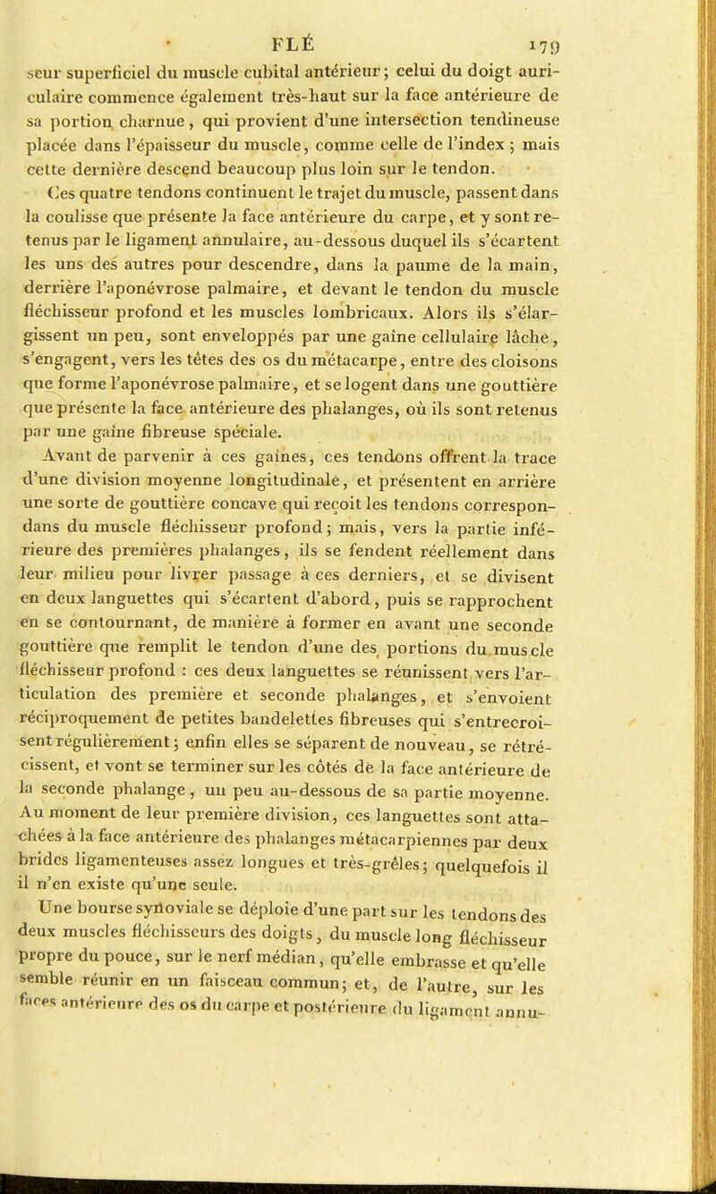 seur superficiel du muscle cubital antérieur ; celui du doigt auri- culaire commence également très-haut sur la face antérieure de sa portion charnue, qui provient d'une intersection tendineuse placée dans l'épaisseur du muscle, comme celle de l'index ; mais cette dernière descend beaucoup plus loin sur le tendon. Ces quatre tendons continuent le trajet du muscle, passent dans la coulisse que présente Ja face antérieure du carpe, et y sont re- tenus par le ligament annulaire, au-dessous duquel ils s'écartent les uns des autres pour descendre, dans la paume de la main, derrière l'aponévrose palmaire, et devant le tendon du muscle fléchisseur profond et les muscles lombricaux. Alors ils s'élar- gissent un peu, sont enveloppés par une gaine cellulaire lâche, s'engagent, vers les têtes des os du métacarpe, entre des cloisons que forme l'aponévrose palmaire, et se logent dans une gouttière que présente la face antérieure des phalanges, où ils sont retenus par une gaine fibreuse spéciale. Avant de parvenir à ces gaines, ces tendons offrent la trace d'une division moyenne longitudinale, et présentent en arrière une sorte de gouttière concave qui reçoit les tendons correspon- dans du muscle fléchisseur profond; mais, vers la partie infé- rieure des premières phalanges, ils se fendent réellement dans leur milieu pour livrer passage à ces derniers, et se divisent en deux languettes qui s'écartent d'abord, puis se rapprochent en se contournant, de manière à former en avant une seconde gouttière que remplit le tendon d'une des portions du muscle fléchisseur profond : ces deux languettes se réunissent vers l'ar- ticulation des première et seconde phalanges, et s'envoient réciproquement de petites bandelettes fibreuses qui s'entrecroi- sent régulièrement; enfin elles se séparent de nouveau, se rétré- cissent, et vont se terminer sur les côtés de la face antérieure de la seconde phalange , un peu au-dessous de sa partie moyenne. Au moment de leur première division, ces languettes sont atta- chées à la face antérieure des phalanges métacarpiennes par deux brides ligamenteuses assez longues et très-grêles; quelquefois il il n'en existe qu'une seule. Une bourse synoviale se déploie d'une part sur les tendons des deux muscles fléchisseurs des doigts, du muscle long fléchisseur propre du pouce, sur le nerf médian, qu'elle embrasse et qu'elle semble réunir en un faisceau commun; et, de l'autre sur les faces antérieure des os du carpe et postérieure du ligament aunu-