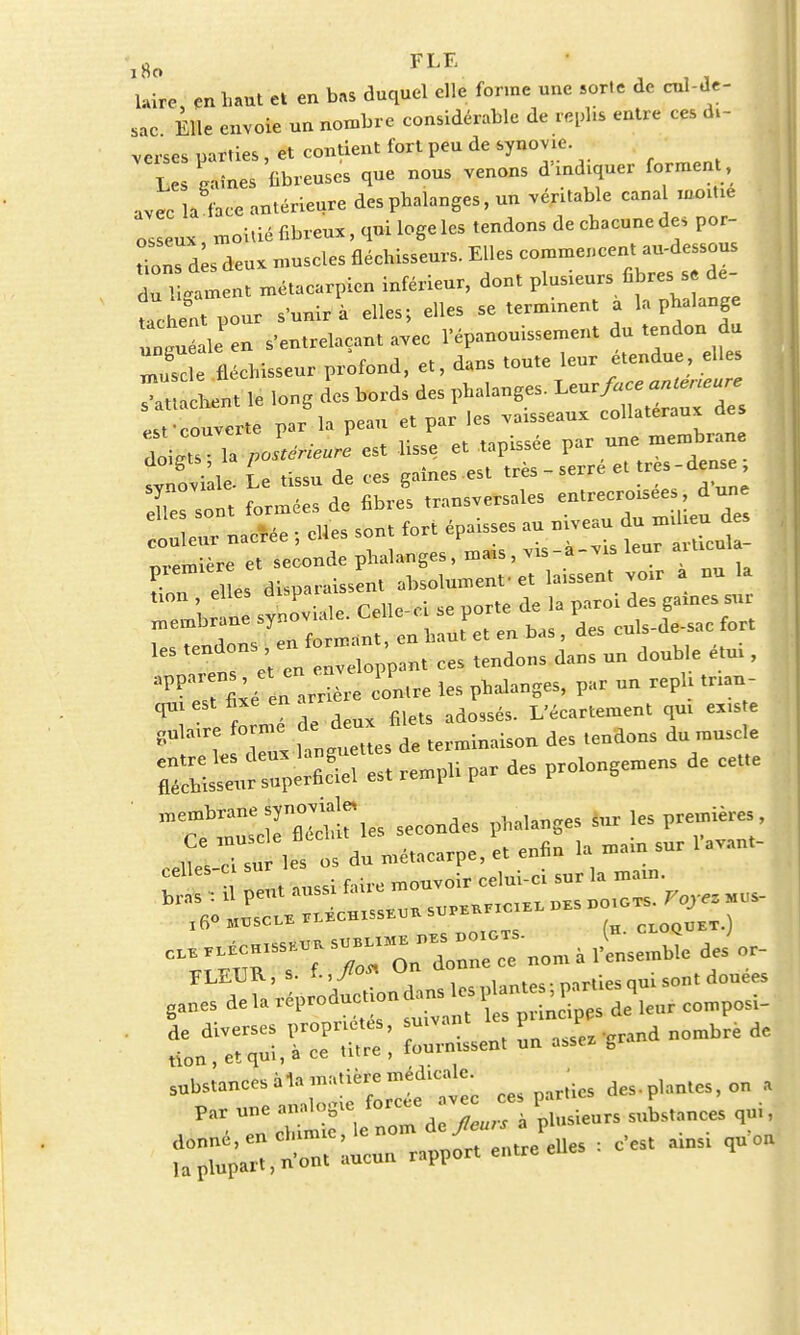 »« FLE i Ho laire, en haut et en bas duquel elle forme une sorte de cul-de- sac Elle envoie un nombre considérable de repli* entre ces di- verses parties , et contient fort peu de synovie. Les LfaU* bbreuscs que nous venons d'indiquer forment, avec la face antérieure des phalanges, un véritable canal moitié osseux moitié fibreux, qui loge les tendons de chacune des por- oTdè deux muscles fléchisseurs. Elles commencent au-dessous Tlla nent métacarpien inférieur, dont plusieurs fibres se dé- tachent pour s'unir à elles; elles se terminent a la phalange un'ué le en s'entrelaçant avec l'épanouissement du tendon du *Sfléchisseur profond, et, dans toute leur étendue elles auvent le ,onS des bords des phalanges. I «t couverte par la peau et par les vaisseaux collatéraux des doi*u 1. pZérieu^ lisse et tapissée par une membrane iTo^le- Le tissu de ces gaines est très - serré et très - der, Xs sont formées de fibres transversales entrecroisées dune o ^r nacrée -, elles sont fort épaisses au niveaudo^ i he, d s , ornière et seconde phalanges, mms, vis-a-vis leur aiticma première et F absolun.enf et laissent voir a nu la qni est fixe en a L'écartement qui ex.ste FLEUR, s. f.,^o« un ■ • sont douées ganes delà ^d^-^~^ ^leur composi. de diverses propriétés, suivant i de tion, et qui, à ce titre , fournissent un a.sez gr.