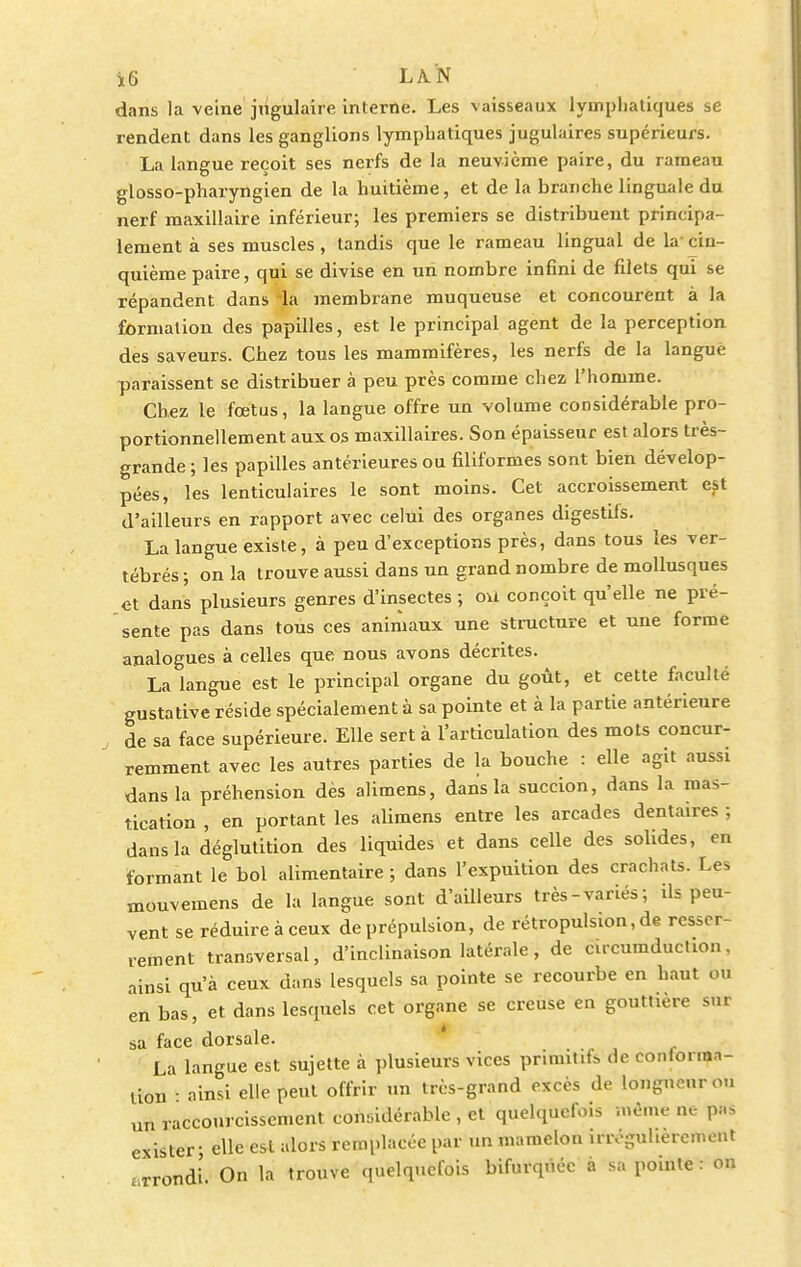 dans la veine jugulaire interne. Les vaisseaux lymphatiques se rendent dans les ganglions lymphatiques jugulaires supérieurs. La langue reçoit ses nerfs de la neuvième paire, du rameau glosso-pharyngien de la huitième, et de la branche linguale du nerf maxillaire inférieur; les premiers se distribuent principa- lement à ses muscles, tandis que le rameau lingual de la- cin- quième paire, qui se divise en un nombre infini de filets qui se répandent dans la membrane muqueuse et concourent à la formation des papilles, est le principal agent de la perception des saveurs. Chez tous les mammifères, les nerfs de la langue paraissent se distribuer à peu près comme chez l'homme. Chez le fœtus, la langue offre un volume considérable pro- portionnellement aux os maxillaires. Son épaisseur est alors très- grande ; les papilles antérieures ou filiformes sont bien dévelop- pées, les lenticulaires le sont moins. Cet accroissement est d'ailleurs en rapport avec celui des organes digestifs. La langue existe, à peu d'exceptions près, dans tous les ver- tébrés; on la trouve aussi dans un grand nombre de mollusques et dans plusieurs genres d'insectes ; ou conçoit qu'elle ne pré- sente pas dans tous ces animaux une structure et une forme analogues à celles que nous avons décrites. La langue est le principal organe du goût, et cette faculté gustative réside spécialement à sa pointe et à la partie antérieure de sa face supérieure. Elle sert à l'articulation des mots concur- remment avec les autres parties de la bouche : elle agit aussi dans la préhension dès alimens, dans la succion, dans la mas- tication , en portant les alimens entre les arcades dentaires ; dans la déglutition des liquides et dans celle des solides, en formant le bol alimentaire ; dans l'expuition des crachats. Le. mouvemens de la langue sont d'ailleurs très-variés; ils peu- vent se réduire à ceux de prépulsion, de rétropulsion, de resser- rement transversal, d'inclinaison latérale, de cucumduction, ainsi qu'à ceux dans lesquels sa pointe se recourbe en haut ou en bas, et dans lesquels cet organe se creuse en gouttière sur sa face dorsale. La langue est sujette à plusieurs vices primitif* de contonnn- lion • ainsi elle peut offrir un très-grand excès de longueur ou un raccourcissement considérable , et quelquefois même m- pus exister- elle est alors remplacée par un mamelon irrégulièrement - rrondi. On la trouve quelquefois bifurqùcc à sa pointe : on