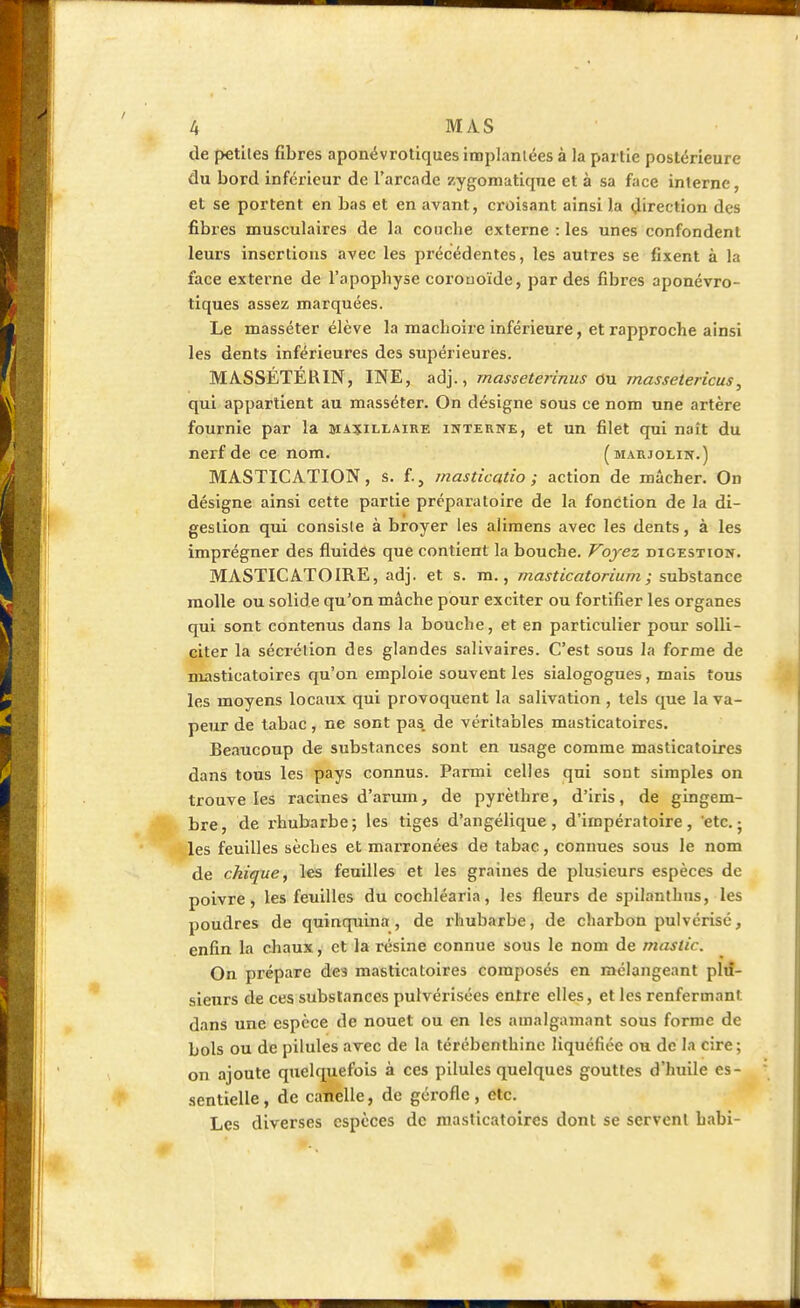 tle petites fibres aponëvrotiques implantées à la partie postérieure du bord inférieur de l'arcade zygomatique et à sa face interne, et se portent en bas et en avant, croisant ainsi la direction des fibres musculaires de la couche externe : les unes confondent leurs insertions avec les précédentes, les autres se fixent à la face externe de l'apophyse corouoïde, par des fibres aponévro- tiques assez marquées. Le masséter élève la mâchoire inférieure, et rapproche ainsi les dents inférieures des supérieures. MASSÉTÉRIN, INE, adj., masseterinus ou massetericus, qui appartient au masséter. On désigne sous ce nom une artère fournie par la maxillaire interne, et un filet qui naît du nerf de ce nom. (marjolin.) MASTICATION, s. f, masticatio ; action de mâcher. On désigne ainsi cette partie préparatoire de la fonction de la di- gestion qui consiste à broyer les alimens avec les dents, à les imprégner des fluides que contient la bouche. Voyez dicestion. MASTICATOIRE, adj. et s. m., masticatorium ; substance molle ou solide qu'on mâche pour exciter ou fortifier les organes qui sont contenus dans la bouche, et en particulier pour solli- citer la sécrétion des glandes salivaires. C'est sous la forme de masticatoires qu'on emploie souvent les sialogogues, mais tous les moyens locaux qui provoquent la salivation , tels que la va- peur de tabac, ne sont pas. de véritables masticatoires. Beaucoup de substances sont en usage comme masticatoires dans tous les pays connus. Parmi celles qui sont simples on trouve les racines d'arum, de pyrèthre, d'iris, de gingem- bre, de rhubarbe; les tiges d'angélique , d'impératoire , etc. ■ les feuilles sèches et marronées de tabac, connues sous le nom de chique, les feuilles et les graines de plusieurs espèces de poivre, les feuilles du cochléaria, les fleurs de spilanthus, les poudres de quinquina, de rhubarbe, de charbon pulvérisé, enfin la chaux, et la résine connue sous le nom de mastic. On prépare des masticatoires composés en mélangeant plu- sieurs de ces substances pulvérisées entre elles, et les renfermant, dans une espèce de nouet ou en les amalgamant sous forme de bols ou de pilules avec de la térébenthine liquéfiée ou de la cire; on ajoute quelquefois à ces pilules quelques gouttes d'huile es- sentielle , de catielle, de gérofle, etc. Les diverses espèces de masticatoires dont se servent habi-