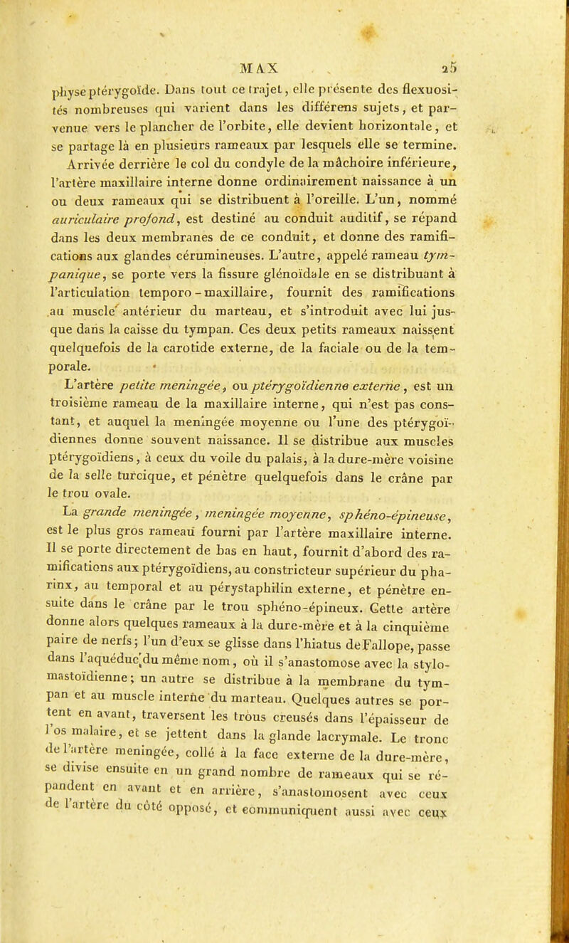 I M/VX î5 physeptérygoïde. Dans tout ce trajet, elle présente des flexuosi- tés nombreuses cpii varient dans les différens sujets, et par- venue vers le plancher de l'orbite, elle devient horizontale, et se partage là en plusieurs rameaux par lesquels elle se termine. Arrivée derrière le col du condyle de la mâchoire inférieure, l'artère maxillaire interne donne ordinairement naissance à un ou deux rameaux qui se distribuent à l'oreille. L'un, nommé auriculaire profond, est destiné au conduit auditif, se répand dans les deux membranes de ce conduit, et donne des ramifi- cations aux glandes cérumineuses. L'autre, appelé rameau tym~ panique, se porte vers la fissure glénoïdale en se distribuant à l'articulation temporo-maxillaire, fournit des ramifications au muscle'antérieur du marteau, et s'introduit avec lui jus- que dans la caisse du tympan. Ces deux petits rameaux naissent quelquefois de la carotide externe, de la faciale ou de la tem- porale. L'artère petite méningée, ou ptérygoïdienne externe, est un troisième rameau de la maxillaire interne, qui n'est pas cons- tant, et auquel la méningée moyenne ou l'une des ptérygoï- diennes donne souvent naissance. Il se distribue aux muscles ptérygoïdiens, à ceux du voile du palais, à la dure-mère voisine de la selle turcique, et pénètre quelquefois dans le crâne par le trou ovale. La grande méningée, méningée moyenne, sphéno-épineuse, est le plus gros rameau fourni par l'artère maxillaire interne. Il se porte directement de bas en haut, fournit d'abord des ra- mifications aux ptérygoïdiens, au constricteur supérieur du pha- rinx, au temporal et au pérystaphilin externe, et pénètre en- suite dans le crâne par le trou sphéno-épineux. Cette artère donne alors quelques rameaux à la dure-mère et à la cinquième paire de nerfs; l'un d'eux se glisse dans l'hiatus deFallope, passe dans l'aquéduc;du même nom, où il s'anastomose avec la stylo- mastoïdienne; un autre se distribue à la membrane du tym- pan et au muscle interne du marteau. Quelques autres se por- tent en avant, traversent les trous creusés dans l'épaisseur de l'os malaire, et se jettent dans la glande lacrymale. Le tronc de l'artère méningée, collé à la face externe de la dure-mère, se divise ensuite en un grand nombre de rameaux qui se ré- pandent en avant et en arrière, s'anastomosent avec ceux de l'artère du côté opposé, et communiquent aussi avec ceux