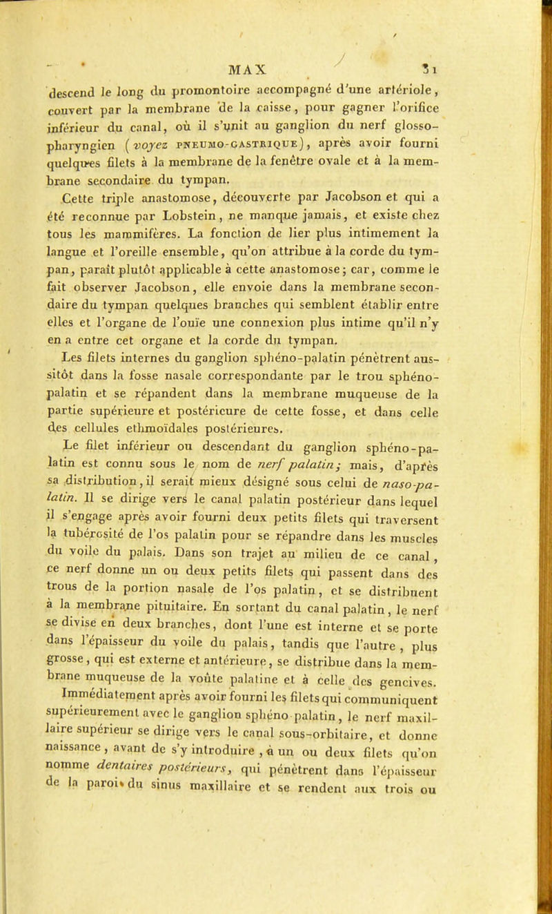 descend le long du promontoire accompagné d'une arlériole, couvert par la membrane de la caisse, pour gagner l'orifice inférieur du canal, où il s'unit au ganglion du nerf glosso- pharyngien [voyez pneumogastrique) , après avoir fourni quelques filets à la membrane de la fenêtre ovale et à la mem- brane secondaire du tympan. Cette triple anastomose, découverte par Jacobson et. qui a été reconnue par Lobstein, ne manque jamais, et existe chez tous les mammifères. La fonction de lier plus intimement la langue et l'oreille ensemble, qu'on attribue à la corde du tym- pan, parait plutôt applicable à cette anastomose; car, comme le fait observer Jacobson, elle envoie dans la membrane secon- daire du tympan quelques branches qui semblent établir entre elles et l'organe de l'ouïe une connexion plus intime qu'il n'y en a entre cet organe et la corde du tympan. Les filets internes du ganglion sphéno-palatin pénètrent aus- sitôt dans la fosse nasale correspondante par le trou sphéno- palatin et se répandent dans la membrane muqueuse de la partie supérieure et postérieure de cette fosse, et dans celle des cellules ethmoïdales postérieures,. Le filet inférieur ou descendant du ganglion sphéno-pa- latin est connu sous le nom de nerf palatin; mais, d'après sa distribution, il serait mieux désigné sous celui de naso-pa- latin. 11 se dirige vers le canal palatin postérieur dans lequel il s'engage après avoir fourni deux petits filets qui traversent la tubérosité de l'os palatin pour se répandre dans les muscles du voile du palais. Dans son trajet au milieu de ce canal, ce nerf donne un ou deux petits filets qui passent dans des trous de la portion nasale de l'os palatin, et se distribuent à la membrane pituitaire. En sortant du canal palatin, le nerf se divise en deux branches, dont l'une est interne et se porte dans l'épaisseur du voile du palais, tandis que l'autre , plus grosse, qui est externe et antérieure, se distribue dans la mem- brane muqueuse de la voûte palatine et à celle des gencives. Immédiatement après avoir fourni les filets qui communiquent supérieurement avec le ganglion sphéno palatin, le nerf maxil- laire supérieur se dirige vers le canal sous-orbitaire, et donne naissance , avant de s'y introduire , à un ou deux filets qu'on nomme dentaires postérieurs, qui pénètrent dans l'épaisseur de la paroi» du sinus maxillaire et se rendent aux trois ou