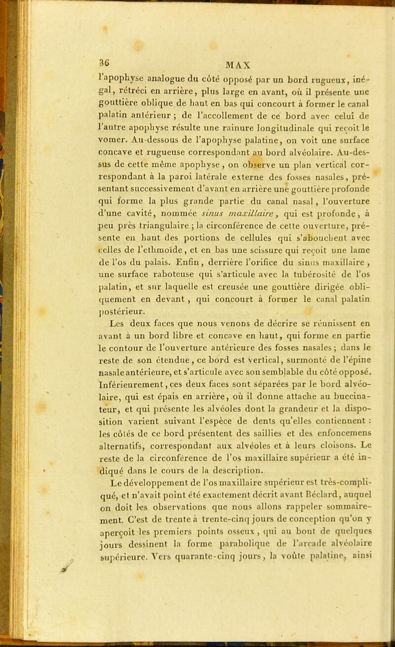 MAX l'apophyse analogue du côté opposé par un bord rugueux, iné- gal, rétréci en arrière, plus large en avant, où il présente une gouttière oblique de haut en bas qui concourt à former le canal palatin antérieur ; de l'accollement de ce bord avec celui de l'autre apophyse résulte une rainure longitudinale qui reçoit le vomer. Au-dessous de l'apophyse palatine, on voit une surface concave et rugueuse correspondant au bord alvéolaire. Au-des- sus de cette même apophyse , on observe un plan vertical cor- respondant à la paroi latérale externe des fosses nasales, pré- sentant successivement d'avant en arrière une gouttière profonde qui forme la plus grande partie du canal nasal , l'ouverture d'une cavité, nommée sinus maxillaire, qui est profonde, à peu près triangulaire 5 la circonférence de celte ouverture, pré- sente en haut des portions de cellules qui s'abouchent avec celles de l'ethmoïde, et en bas une scissure qui reçoit une lame de l'os du palais. Enfin, derrière l'orifice du sinus maxillaire , une surface raboteuse qui s'articule avec la tubérosité de l'os palatin, et sur laquelle est creusée une gouttière dirigée obli- quement en devant , qui concourt à former le canal palatin postérieur. Les deux faces que nous venons de décrire se réunissent en avant à un bord libre et concave en haut, qui forme en partie le contour de l'ouverture antérieure des fosses nasales ; dans le reste de son étendue, ce bord est vertical, surmonté de l'épine nasale antérieure, et s'articule avec son semblable du côté opposé. Inférieurement, ces deux faces sont séparées par le bord alvéo- laire, qui est épais en arrière, où il donne attache au buccina- teur, et qui présente les alvéoles dont la grandeur et la dispo- sition varient suivant l'espèce de dents qu'elles contiennent : les côtés de ce bord présentent des saillies et des enfoncemens alternatifs, correspondant aux alvéoles et à leurs cloisons. Le reste de la circonférence de l'os maxillaire supérieur a été in- diqué dans le cours de la description. Le développement de l'os maxillaire supérieur est très-compli- qué, et n'avait point été exactement décrit avant Réclard, auquel on doit 1-es observations que nous allons rappeler sommaire- ment. C'est de trente à trente-cinq jours de conception qu'on y aperçoit les premiers points osseux, qui au bout de quelques jours dessinent la forme parabolique de l'arcade alvéolaire supérieure. Vers quarante-cinq jours, la voûte palatine, ainsi