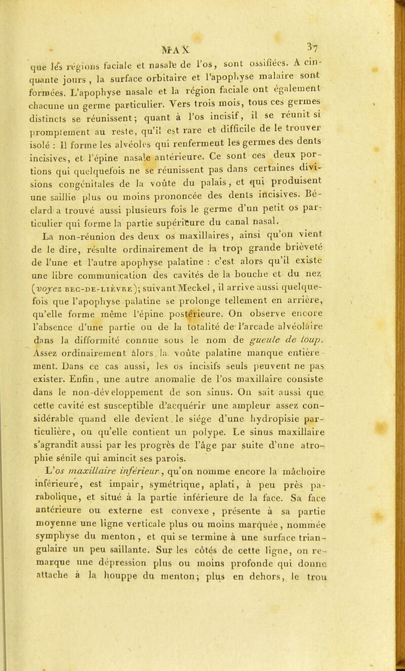 que l<fs régions faciale et nasale de l'os, sont ossifiées. A cin- quante jouis , la surface orbitaire et l'apopl.yse malaire sont formées. L'apophyse nasale et la région faciale ont également chacune un germe particulier. Vers trois mois, tous ces germes distincts se réunissent; quant à l'os incisif, il se réunit si prompieinent au reste, qu'il est rare et difficile de le trouver isolé : I! forme les alvéoles qui renferment les germes des dents incisives, et l'épine nasale antérieure. Ce sont ces deux por- tions qui quelquefois ne se réunissent pas dans certaines divi- sions congénitales de la voûte du palais, et qui produisent une saillie plus ou moins prononcée des dents incisives. Bé- clard a trouvé aussi plusieurs fois le germe d'un petit os par- ticulier qui forme la partie supérieure du canal nasal. La non-réunion des deux os maxillaires, ainsi qu'on vient de le dire, résulte ordinairement de la trop grande brièveté de l'une et l'autre apophyse palatine : c'est alors qu'il existe une libre communication des cavités de la bouche et du nez {voyez bec-de-lièvre); suivant Meckel, il arrive aussi quelque- fois que l'apophyse palatine se prolonge tellement en arrière, qu'elle forme même l'épine postérieure. On observe encore l'absence d'une partie ou de la totalité de l'arcade alvéolaire dans la difformité connue sous le nom de gueule de loup. Assez ordinairement alors , la voûte palatine manque entière ment. Dans ce cas aussi, les os incisifs seuls peuvent ne pas exister. Enfin, une autre anomalie de l'os maxillaix-e consiste dans le non-développement de son sinus. On sait aussi que cette cavité est susceptible d'acquérir une ampleur assez con- sidérable quand elle devient. le siège d'une hydropisie par- ticulière , ou qu'elle contient un polype. Le sinus maxillaire s'agrandit aussi par les progrès de l'âge par suite d'une atro- phie sénile qui amincit ses parois. L'os maxillaire inférieur, qu'on nomme encore la mâchoire inférieure, est impair, symétrique, aplati, à peu près pa- rabolique, et situé à la partie inférieure de la face. Sa face antérieure ou externe est convexe , présente à sa partie moyenne une ligne verticale plus ou moins marquée, nommée symphyse du menton, et qui se termine à une surface trian- gulaire un peu saillante. Sur les côtés de cette ligne, on re marque une dépression plus ou moins profonde qui donne attache à la houppe du menton; plus en dehors, le trou