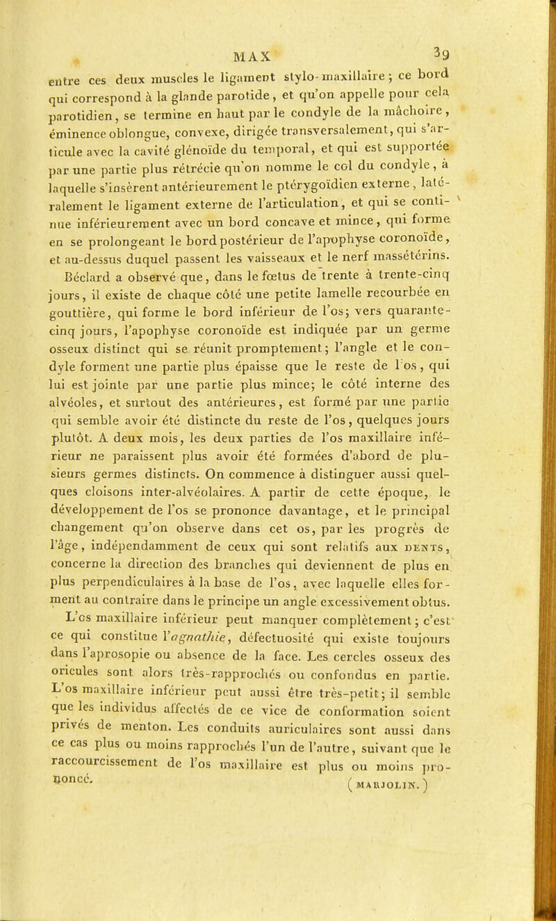 entre ces deux muscles le ligament stylo-maxillaire ; ce bord qui correspond à la glande parotide , et qu'on appelle pour cela parotidien, se termine en haut par le condyle de la mâchoire, éminenceoblongue, convexe, dirigée transversalement, qui s'ar- ticule avec la cavité glénoïde du temporal, et qui est supportée par une partie plus rétrécie qu'on nomme le col du condyle, a laquelle s'insèrent antérieurement le ptérygoïdien externe , laté- ralement le ligament externe de l'articulation, et qui se conti- » nue inférieureraent avec un bord concave et mince, qui forme en se prolongeant le bord postérieur de l'apophyse coronoïde, et au-dessus duquel passent les vaisseaux et le nerf massétérins. Béclard a observé que, dans le fœtus de trente à trente-cinq jours, il existe de chaque côté une petite lamelle recourbée en gouttière, qui forme le bord inférieur de l'os; vers quarante- cinq jours, l'apophyse coronoïde est indiquée par un germe osseux distinct qui se réunit promptement ; l'angle et le con- dyle forment une partie plus épaisse que le reste de l'os, qui lui est jointe par une partie plus mince; le côté interne des alvéoles, et surtout des antérieures, est formé par une partie qui semble avoir été distincte du reste de l'os, quelques jours plutôt. A deux mois, les deux parties de l'os maxillaire infé- rieur ne paraissent plus avoir été formées d'abord de plu- sieurs germes distincts. On commence à distinguer aussi quel- ques cloisons inter-alvéolaires. A partir de cette époque, le développement de l'os se prononce davantage, et le principal changement qu'on observe dans cet os, par les progrès de l'âge, indépendamment de ceux qui sont relatifs aux dents, concerne la direction des branches qui deviennent, de plus en plus perpendiculaires à la base de l'os, avec laquelle elles for- ment au contraire dans le principe un angle excessivement obtus. L'es maxillaire inférieur peut manquer complètement; c'est ce qui constitue Yagnathie, défectuosité qui existe toujours dans l'aprosopie ou absence de la face. Les cercles osseux des oricules sont alors très-rapproches ou confondus en partie. L'os maxillaire inférieur peut aussi être très-petit; il semble que les individus affectés de ce vice de conformation soient privés de menton. Les conduits auriculaires sont aussi dans ce cas plus ou moins rapprochés l'un de l'autre, suivant que le raccourcissement de l'os maxillaire est plus ou moins pro- Doncé- (mahjolik.)