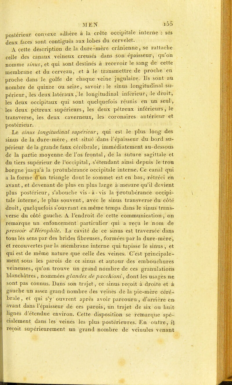 M EN iî>5 postérieur convexe adhère à la crête occipitale interne : ses deux faces sont contiguè's aux lobes du cervelet. A cette description de la dure-mère crânienne, se rattache celle des canaux veineux creusés dans son épaisseur, qu'on nomme sinus> et qui sont destinés à recevoir le sang de cette membrane et du cerveau, et à le transmettre de proche en proche dans le golfe de chaque veine jugulaire. Ils sont au nombre de quinze ou seize, savoir : le sinus longitudinal su- périeur, les deux latéraux, le longitudinal inférieur, le droit, les deux occipitaux qui sont quelquefois réunis en un seul, les deux pétreux supérieurs, les deux pétreux inférieurs, le transverse, les deux caverneux, les coronaires antérieur et postérieur. Le sinus longitudinal supérieur, qui est le plus long des sinus de la dure-mère, est situé dans l'épaisseur du bord su- périeur de la grande faux cérébrale, immédiatement au-dessous de la partie moyenne de l'os frontal, de la suture sagittale et du tiers supérieur de l'occipital, s'étendant ainsi depuis le trou borgne jusqu'à la protubérance occipitale interne. Ce canal qui a la forme d'un triangle dont le sommet est en bas, rétréci en avant, et devenant de plus en plus large à mesure qu'il devient plus postérieur, s'abouche vis-à-vis la protubérance occipi- tale interne, le plus souvent, avec le sinus transverse du côté droit, quelquefois s'ouvrant en même temps dans le sinus trans- verse du côté gauche. A l'endroit de cette communication, on remarque un enfoncement particulier qui a reçu le nom de pressoir d'Hérophile. La cavité de ce sinus est traversée dans tous les sens par des brides fibreuses, formées par la dure-mère, et recouvertes par la membrane interne qui tapisse le sinus , et qui est de même nature que celle des veines. C'est principale- ment sous les parois de ce sinus et autour des embouchures veineuses, qu'on trouve un grand nombre de ces granulations blanchâtres , nommées glandes de pacchioni, dont les usages ne sont pas connus. Dans son trajet, ce sinus reçoit à droite et à gauche un assez grand nombre des veines de la pie-mère céré- brale, et qui s'y ouvrent après avoir parcouru, d'arrière ën> avant dans l'épaisseur de ces parois, un trajet de six ou huit lignes d'étendue environ. Cette disposition se remarque spé- cialement dans les veines les plus postérieures. En outre, il reçoit supérieurement un grand nombre de veinules venant