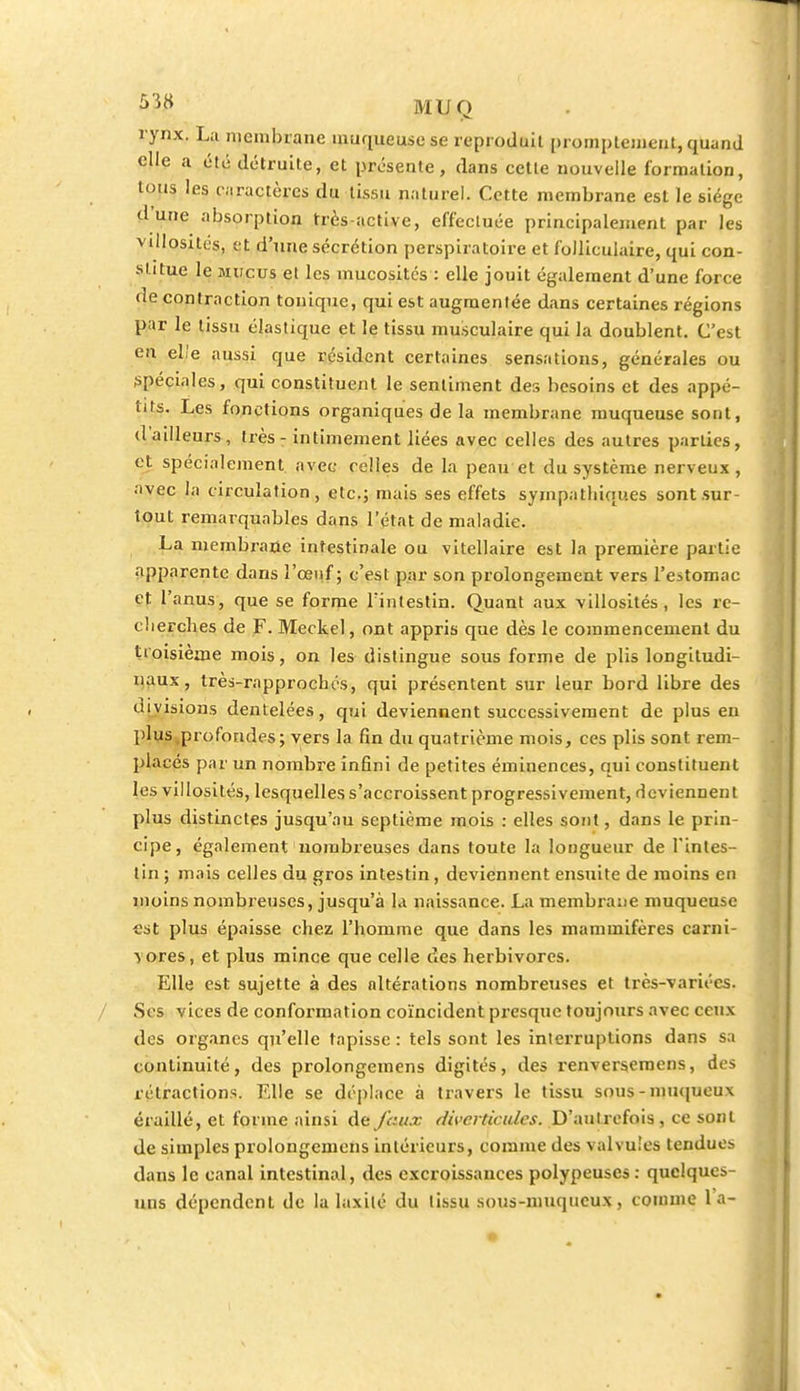 MUQ rynx. La membrane muqueuse se reproduit promptemeut, quand elle a été détruite, et présente, dans cette nouvelle formation, tous les c aractères du tissu naturel. Cette membrane est le siège d une absorption très-active, effectuée principalement par les villositcs, et d'une sécrétion perspiratoire et folliculaire, qui con- stitue le mucus et les mucosités : elle jouit également d'une force de contraction tonique, qui est augmentée dans certaines régions par le tissu élastique et le tissu musculaire qui la doublent. C'est en elle aussi que résident certaines sensations, générales ou spéciales, qui constituent le sentiment des besoins et des appé- tits. Les fonctions organiques de la membrane muqueuse sont, d ailleurs, très - intimement liées avec celles des autres parties, et spécialement avec celles de la peau et du système nerveux, avec la circulation, etc.; mais ses effets sympathiques sont sur- tout remarquables dans l'état de maladie. La membrane intestinale ou vitellaire est la première partie apparente dans l'œuf ; c'est par son prolongement vers l'estomac et l'anus, que se forme l'intestin. Quant aux villosités, les re- cherches de F. Meckel, ont appris que dès le commencement du troisième mois, on les distingue sous forme de plis longitudi- naux, très-rapprochés, qui présentent sur leur bord libre des divisions dentelées, qui deviennent successivement de plus en plus profondes; vers la fin du quatrième mois, ces plis sont rem- placés par un nombre infini de petites éminences, qui constituent les villosités, lesquelles s'accroissent progressivement, deviennent plus distinctes jusqu'au septième mois : elles sont, dans le prin- cipe, également nombreuses dans toute la longueur de l'intes- tin ; mais celles du gros intestin, deviennent ensuite de moins en moins nombreuses, jusqu'à la naissance. La membrane muqueuse est plus épaisse chez l'homme que dans les mammifères carni- vores, et plus mince que celle des herbivores. Elle est sujette à des altérations nombreuses et très-variées. Ses vices de conformation coïncident presque toujours avec ceux des organes qu'elle tapisse: tels sont les interruptions dans sa continuité, des prolongemens digités, des renverseraens, des rétractions. Elle se déplace à travers le tissu sous-muqueux éraillé, et forme ainsi de faux divcrticules. D'autrefois, ce sont de simples prolongemens intérieurs, comme des valvules tendues dans le canal intestinal, des excroissances polypeuscs : quelques- uns dépendent de la laxilé du tissu sous-muqueux, comme l'a-