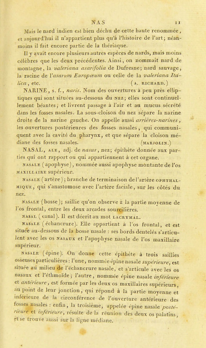 Mais le nard indien est bien déchu de cette haute renommée , et aujourd'hui il n'appartient plus qu'à l'histoire de l'art; néan- moins il fait encore partie de la thériaque. Il y avait encore plusieurs autres espèces de nards, mais moins célèbres que les deux précédentes. Ainsi, on nommait nard de montagne, la valeriana asarifolia de Dufresne; nard sauvage, la racine de Yasarum Europœum ou celle de la valeriana Ità- à'ca , elc. (a. richard.) NARINE, s. f., naris. Nom des ouvertures à peu près ellip- tiques qui sont situées au-dessous du nez; elles sont continuel- lement béantes, et livrent passage à l'air et au mucus sécrété dans les fosses nasales. La sous-cloison du nez sépare la narine droite de la narine gauche. On appelle aussi arrières-narines, les ouvertures postérieures des fosses nasales, qui communi- quent avec la cavité du pharynx, et que sépare la cloison mé- diane des fosses nasales. (marjolin.) NASAL, ALE, adj.de nasus ^ nez; epithete donnée aux par- lies qui ont rapport ou qui appartiennent à cet organe. NASALE ( apophyse), nommée aussi apophyse montante de l'os 3IAXILLAIRE Supérieur. NASALE ( artère ) ; branche de terminaison de Tarière ophthal- MiQUE, qui s'anastomose avec l'artère faciale, sur les côtés du nez. NASALE (bosse); saillie qu'on observe à la partie moyenne de l'os frontal, entre les deux arcades sourcilières. NASAL ( canal). Il est décrit au mot lacrymal. NASALE ( échancrure). Elle appartient à Tos frontal, et est située au-dessous de la bosse nasale : ses bords dentelés s'articu- lent avec les os nasaux et l'apophyse nasale de l'os maxillaire supérieur. NASALE (épine). On donne cette épithète à trois saillies osseuses particulières : l'une, nommée épine nasale supérieure, est située aii milieu de l'échancrure nasale, et s'articule avec les os nasaux et l'éthmoïde ; l'autre , nommée épine nasale inférieure et antérieure, est formée par les deux os maxillaires supérieurs, au point de leur jonction, qui répond à la partie moyenne et inférieure de la circonférence de l'ouverture antérieure des fosses nasales : enfin, la troisième, appelée épine nasale posté- ncurè et inférieurs, résulte de la réunion des deux os palatins, et se trouve aussi sur la ligne médiane.