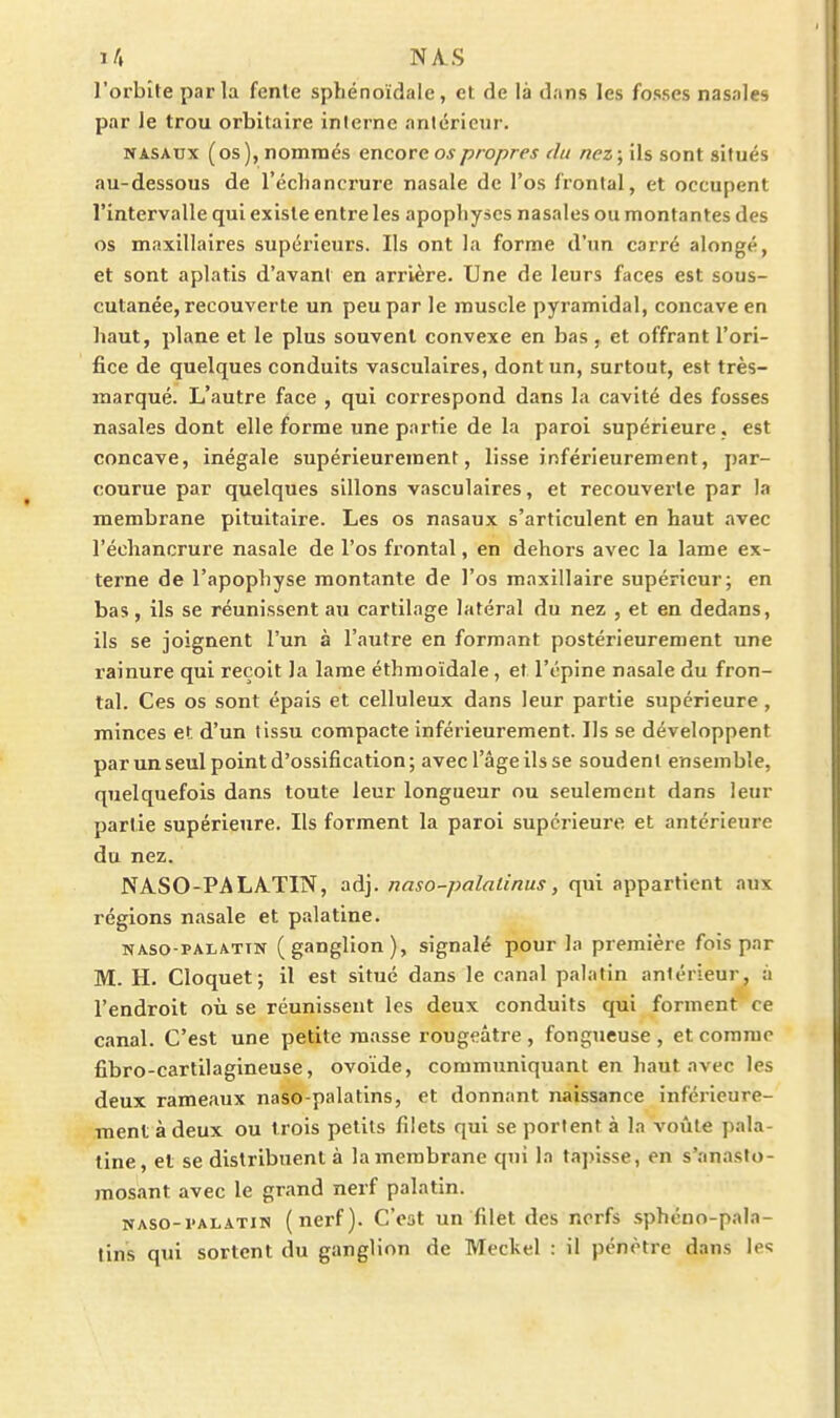 ï/l NAS l'orbîte parla fenle sphénoïdale, et de là dans les fosses nasales par le trou orbitaire inlernc antériciir. NASAUX (os ), nommés encore os propres du nez ; ils sont situés au-dessous de l'échancrure nasale de l'os frontal, et occupent l'intervalle qui existe entre les apophyses nasales ou montantes des os maxillaires supérieurs. Ils ont la forme d'un carré alongé, et sont aplatis d'avant en arrière. Une de leurs faces est sous- cutanée, recouverte un peu par le muscle pyramidal, concave en haut, plane et le plus souvent convexe en bas, et offrant l'ori- fice de quelques conduits vasculaires, dont un, surtout, est très- marqué. L'autre face , qui correspond dans la cavité des fosses nasales dont elle forme une partie de la paroi supérieure, est concave, inégale supérieurement, lisse inférieurement, par- courue par quelques sillons vasculaires, et recouverte par la membrane pituitaire. Les os nasaux s'articulent en haut avec l'échancrure nasale de l'os frontal, en dehors avec la lame ex- terne de l'apophyse montante de l'os maxillaire supérieur; en bas, ils se réunissent au cartilage latéral du nez , et en dedans, ils se joignent l'un à l'autre en formant postérieurement une rainure qui reçoit la lame éthmoïdale, et l'épine nasale du fron- tal. Ces os sont épais et celluleux dans leur partie supérieure, minces et d'un lissu compacte inférieurement. Ils se développent par un seul point d'ossification ; avec l'âge ils se soudent ensemble, quelquefois dans toute leur longueur ou seulement dans leur partie supérieure. Ils forment la paroi supérieure et antérieure du nez. NAS 0-P A LA-TIN, adj. naso-palalinus, qui appartient aux régions nasale et palatine. NAso-PALATTN (gaugliou), Signalé pour la première fois par M. H. Cloquet; il est situé dans le canal palatin antérieur, à l'endroit où se réunissent les deux conduits qui forment ce canal. C'est une petite masse rougeâtre , fongueuse , et comme fibro-cartilagineuse, ovoïde, communiquant en haut avec les deux rameaux naso-palatins, et donnant naissance inférieure- ment à deux ou trois petits filets qui se portent à la voiile pala- tine, et se distribuent à la membrane qui la tapisse, en s'anasto- mosant avec le grand nerf palatin. NASO-i'ALATiis (nerf). C'eat un filet des nerfs sphéno-pala- tin's qui sortent du ganglion de Meckel : il pénètre dans les