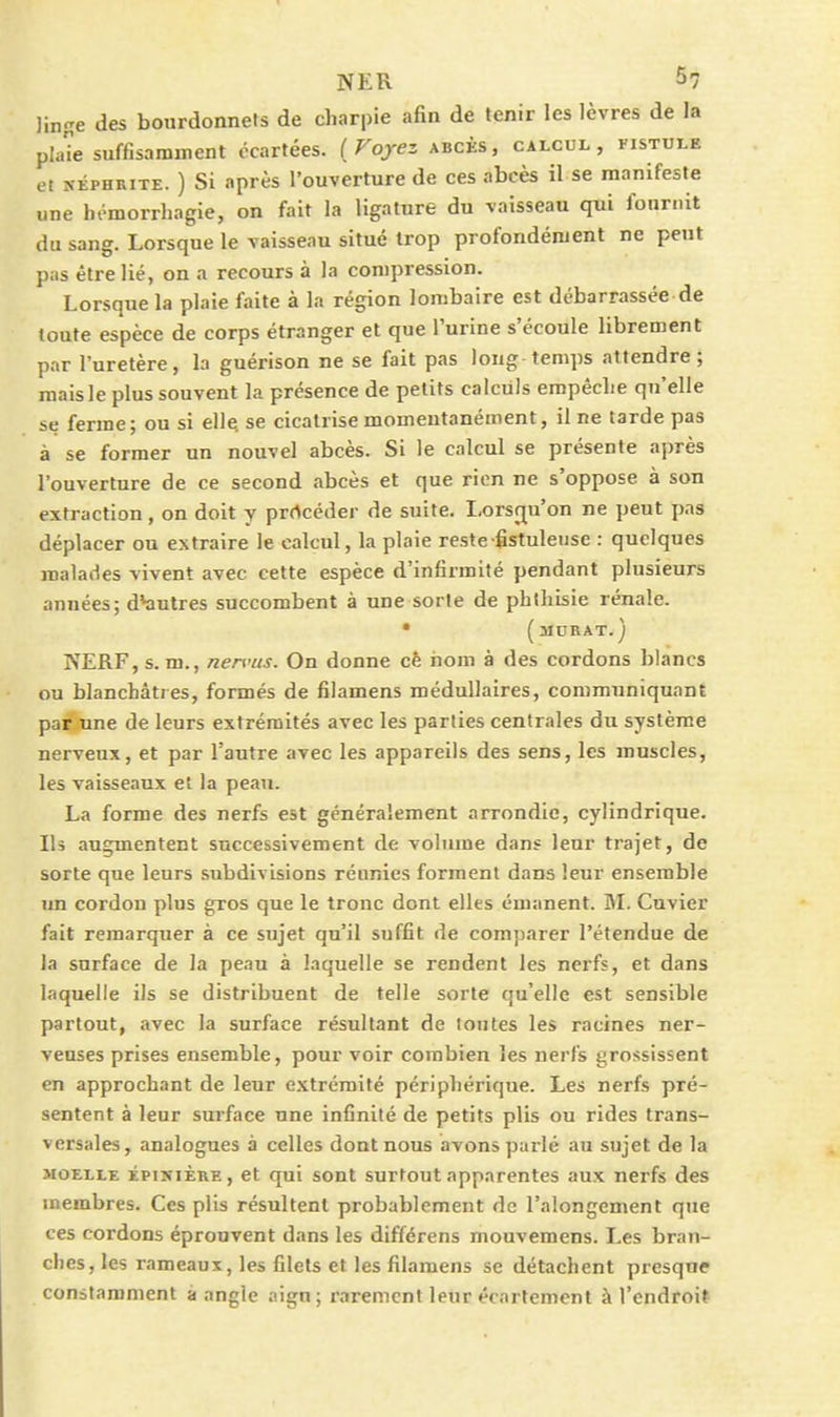 linge des bourdonnets de charpie afin de tenir les lèvres de la pla^e suffisamnient écartées. (Fojez abcès, calcul, fistule et NÉPHRITE. ) Si après l'ouverture de ces abcès il se manifeste une hi-morrhagie, on fait la ligature du vaisseau qui fournit du sang. Lorsque le vaisseau situé trop profondément ne peut pas être lié, on a recours à la compression. Lorsque la plaie faite à la région lombaire est débarrassée de foute espèce de corps étranger et que l'urine s'écoule librement par l'uretère, la guérison ne se fait pas long temps attendre; mais le plus souvent la présence de petits calculs empéclie qu'elle se ferme; ou si ellQ se cicatrise momentanément, il ne tarde pas à se former un nouvel abcès. Si le calcul se présente après l'ouverture de ce second abcès et que rien ne s'oppose à son extraction, on doit y prrtcéder de suite. Lorsqu'on ne peut pas déplacer on extraire le calcul, la plaie reste-fistuleusc : quelques realailes vivent avec cette espèce d'infirmité pendant plusieurs années; dHiutres succombent à une sorte de pblliisie rénale. • (mdkat.) NERF, s. m., nenuis. On donne cê riom à des cordons blancs ou blanchâtres, formés de filamens médullaires, communiquant par une de leurs extrémités avec les parties centrales du système nerveux, et par l'antre avec les appareils des sens, les muscles, les vaisseaux et la peau. La forme des nerfs est généralement arrondie, cylindrique. Ils augmentent successivement de volume dans leur trajet, de sorte que leurs subdivisions réunies forment dans leur ensemble un cordon plus gros que le tronc dont elles émanent. BL Cuvier fait remarquer à ce sujet qu'il suffit de comjiarer l'étendue de la surface de la peau à laquelle se rendent les nerfs, et dans laquelle ils se distribuent de telle sorte qu'elle est sensible partout, .ivec la surface résultant de toutes les racines ner- veuses prises ensemble, pour voir combien les nerfs grossissent en approchant de leur extrémité périphérique. Les nerfs pré- sentent à leur surface une infinité de petits plis ou rides trans- versales, analogues à celles dont nous avons parlé au sujet de la MozLLE ÉpiîfiÈKE, et qui sout surtout apparentes aux nerfs des membres. Ces plis résultent probablement de l'alongement que ces cordons éprouvent dans les différens mouvemens. Les bran- ches, les rameaux, les filets et les filamens se détachent presque constamment a angle aigu; rarement leur écartement à l'endroiï
