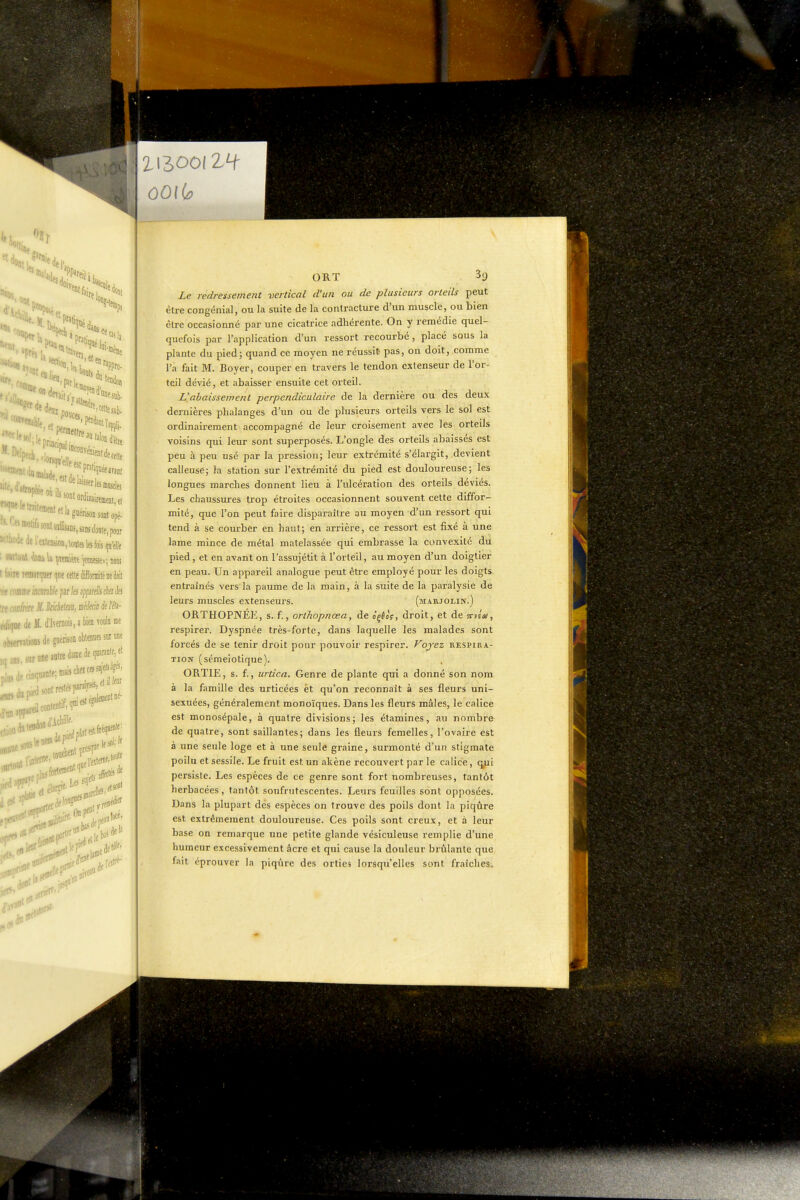 principal 30 (alon i'élte ,.,„,J';«'<l«Wlesm,scl« . ■:;^««l^?aériM««„né. - Jel'aUnbion,ioïtele5fois qu'elle t (aitt Tflmripier i]ne celte difformité ne doit M rnaiflK; iflamWe par te appjffili ck ils 'riTc J/. Bnâelm, aiiew k l'éla- ,ieM. d'heniois,abien?oàiiie .ainnsdegiietisoiiobleiraessuiiiDe ,„raneaiilredaraede(piar3«ie,et .,inoaante;n,aiscieKcss^elsi^ .,,^eilcoDientif,'P«'' ,rriff' ORT 39 Le redressement vertical d'un ou de plusieurs orteils peut être congénial, ou la suite de la contracture d'un muscle, ou bien être occasionné par une cicatrice adhérente. On y remédie quel- quefois par l'application d'un ressort recourbe, placé sous la plante du pied; quand ce moyen ne réussit pas, on doit, comme l'a fait M. Boyer, couper en travers le tendon extenseur de l'or- teil dévié, et .tbaisser ensuite cet orteil. L'abaissement perpendiculaire de la dernière ou des deux dernières phalanges d'un ou de plusieurs orteils vers le sol est ordinairement accompagné de leur croisement avec les orteils voisins qui leur sont superposés. L'ongle des orteils abaissés est peu à peu usé par la pression; leur extrémité s'élargit, devient calleuse; la station sur l'extrémité du pied est douloureuse; les longues marches donnent lieu à l'ulcération des orteils déviés. Les chaussures trop étroites occasionnent souvent cette diffor- mité, que l'on peut faire disparaître au moyen d'im ressort qui tend à se courber en haut; en arrière, ce ressort est fixé à une lame mince de métal matelassée qui embrasse la convexité du pied, et en avant on l'assujétit à l'orteil, au moyen d'un doiglier en peau. Un appareil analogue peut être employé pour les doigts, entraînés vers la paume de la main, à la suite de la paralysie de leurs muscles extenseurs. (marjolin.) ORTHOPNÉE, s. f, orlhopnœa, de oçfloV, droit, et de ^v/a), respirer. Dyspnée très-forte, dans laquelle les malades sont forcés de se tenir droit pour pouvoir respirer. Voyez respira- tion (sémeiotique). ORTIE, s. f., urtica. Genre de plante qui a donné son nom à la famille des urticées èt qu'on reconnaît à ses fleurs uni- sexuées, généralement monoïques. Dans les fleurs mâles, le calice est monosépale, à quatre divisions; les étamines, au nombre de quatre, sont saillantes; dans les fleurs femelles, l'ovaire est à une seule loge et à une seule graine, surmonté d'un stigmate poilu et sessile. Le fruit est un akène recouvert par le calice, q^l persiste. Les espèces de ce genre sont fort nombreuses, tantôt herbacées, tantôt soufrutescentes. Leurs feuilles sont opposées. Dans la plupart dés espèces on trouve des poils dont la piqûre est extrêmement douloureuse. Ces poils sont creux, et à leur base on remarque une petite glande vésiculeuse remplie d'une humeur excessivement âcre et qui cause la douleur brûlante que fait éprouver la piqûre des orties lorsqu'elles sont fraîches. i