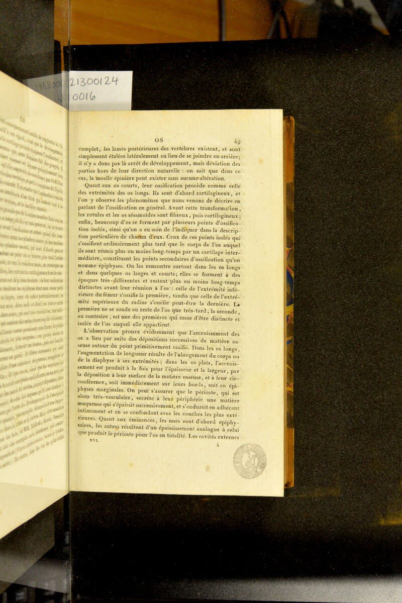 'No, 'ici,( lion r(s.li iOils idaii I consiste Il à la \«ielleej! ,. j •PSDdellecoa- •^M, 101 sont d'abord f —)'r wiuuaDorûposel M tronve plus tard l'artère ':'raisieffieiiiois,oBfemjn[Beaii 1 eilrtmiki ojùUjukiisô don! la coji- • 'i : 4fy41)1(31 àesifflïf.deleîtoaikton ' -m l« epipiystt dont nons avons psrlé .■^s, OTi di/dnepjriifiiliOTffli, s« ,„.BièniebeittCOupdeva»iiî, os 4g complet, les lames postérieures des vertèbres existent, et sont simplement étalées latéralement au lieu de se joindre en arrière- il n'y a donc pas là arrêt de développement, mais déviation des parties hors de leur direction naturelle : on sait que dans ce cas, la moelle épinière peut exister sans aucune altération. Quant aux os courts, leur ossification procède comme celle des extrémités des os longs. Ils sont d'abord cartilagineux, et l'on y observe les phénomènes que nous venons de décrire en parlant de l'ossification en général. Avant cette transformation, les rotules et les os sésamoïdes sont fibreux, puis cartilagineux ; enfin, beaucoup d'os se forment par plusieurs points d'ossifica- tion isolés, ainsi qu'on a eu soin de l'indiquer dans la descrip - tion particulière de cha(?un d'eux. Ceux de ces points isolés qui s'ossifient ordinairement plus tard que le corps de l'os auquel ils sont réunis plus ou moins long-temps par un cartilage inter- médiaire, constituent les points secondaires d'ossification qu'on nomme épiphyses. On les rencontre surtout dans les os longs et dans quelques os larges et courts; elles se forment à des époques très-différentes et restent plus ou moins long-temps distinctes avant leur réunion à l'os : celle de l'extrémité infé- rieure du fémur s'ossifie la première, tandis que celle de l'extré- mité supérieure du radius s'ossifie peut-être la dernière. La première ne se soude au reste de l'os que très-tard; la seconde au contraire , est une des premières qui cesse d'être distincte eî isolée de l'os auquel elle appartient. L'observation prouve évidemment que l'accroissement des os a lieu par suite des dépositions successives de matière os- seuse autour du point primitivement ossifié. Dans les os longs l'augmentation de longueur résulte de l'alongement du corps ou' de la diaphyse à ses extrémités; dans les os plats, l'accrois- sement est produit à la fois pour l'épaisseur et la largeur par la déposition à leur surface de la matière osseuse, et à leur'cir- conférence, soit immédiatement sur leurs bords, soit en épi physes marginales. On peut s'assurer que le périoste, qui est alor, très-vasculaire, secrète à leur périphérie une matière muqueuse qu. s'épaissit successivement, et s'endurcit en adhérant intimement et en se confondant avec les couches les plus exté- rieures. Quant aux éminences, les unes sont d'abord épiphv- saires, les autres résultent d'un épaississement analogue à celui que produ.t le périoste pour l'os en totalité. Les cavités externes