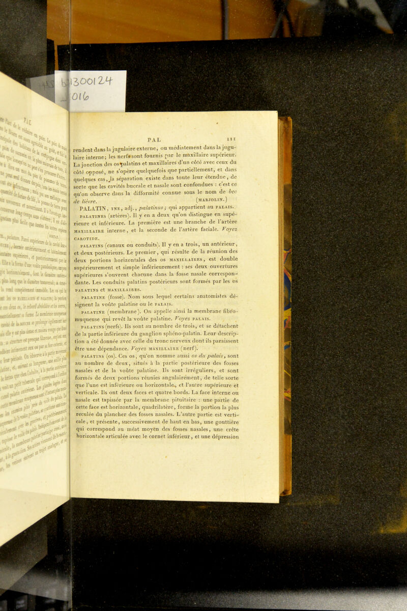 Pîia. ' i Hais 'feciet les «Pierre ÎWtûBtejles awres ( supenjure, et ■■im\miu\, ion le diabète mtéro- . piu> long (jue It d'umelie tom«issV, a stmc- tj rfnd coiii]ilétem«Dt immoMc. Le; os m li )Dt !f5 05 liillL.(ii£S et PJUiiJs; la porlioi f cei lieu 05, le rèoti àéohiri ab dm, miiémfDt SJ fonne. b mmhmt muquera de la.Boraïi« prolonge cgaleœratw ,,„tpiasiieDseetDiom>to»jefte b patin cotres?''' lieantériewt il'oiilics :. Les ,ndam»*' ijji' vif les soi** PAL m rendent dans la jugulaire externe, ou média tement dans la jugu- laire interne; les nerfarsont fournis par le maxillaire supérieur. La jonction des os^palatins et maxillaires d'un côté avec ceux du côté opposé, ne s'opère quelquefois que partiellement, et dans quelques cas.Ja séparation existe dans toute leur étendue, de sorte que les cavités buccale et nasale sont confondues : c'est ce qu'on observe dans la difformité connue sous le nom de bec de lièvre. (makjolin.) PALATIN, ïNE, adj., paiatinus ; qui appartient au palais. PALATINES (artères). Il y en a deux qu'on distingue en supé- rieure et inférieure. La première est une branche de l'artère MAXILLAIRE interne, et la seconde de l'artère faciale. Voyez CAROTIDE. PALATINS (canaux ou conduits). Il y en a trois, un antérieur, et deux postérieurs. Le premier, qui résulte de la réunion des deux portions horizontales des os maxillaires, est double supérieurement et simple inférieurement : ses deux ouvertures supérieures s'ouvrent chacune dans la fosse nasale correspon- dante. Les conduits palatins postérieurs sont formés par les os PALATINS et MAXILLAIRES. PALATINE (fosse). Nom SOUS lequel certains anatomistes dé- signent la voûte palatine ou le palais. PALATINE (membrane). On appelle ainsi la membrane fibfo- muqueuse qui revêt la voûte palatine. Voyez palais. PALATINS (nerfs). Ils sont au nombre de trois, et se détachent de la partie inférieure du ganglion sphcno-palatin. Leur descrip- tion a été donnée avec celle du tronc nerveux dont ils paraissent être une dépendance. Voyez maxillaire (nerf). PALATINS (os). Ces OS, qu'ou nomme aussi os du palais, sont au nombre de deux, situés à la partie postérieure des fosses nasales et de la voûte palatine. Ils sont irréguliers, et sont formés de deux portions réunies angulairement, de telle sorte que l'une est inférieure ou horizontale., et l'autre supérieure et verticale. Ils ont deux faces et quatre bords. La face interne ou nasale est tapissée par la membrane pituitaire : une partie de cette face est horizontale, quadrilatère, forme la portion la plus reculée du plancher des fosses nasales. L'autre partie est verti- cale, et présente, successivement de haut en bas, une gouttière qui correspond au méat moyèn des fosses nasales, une crête horizontale articulée avec le cornet inférieur, et une dépression