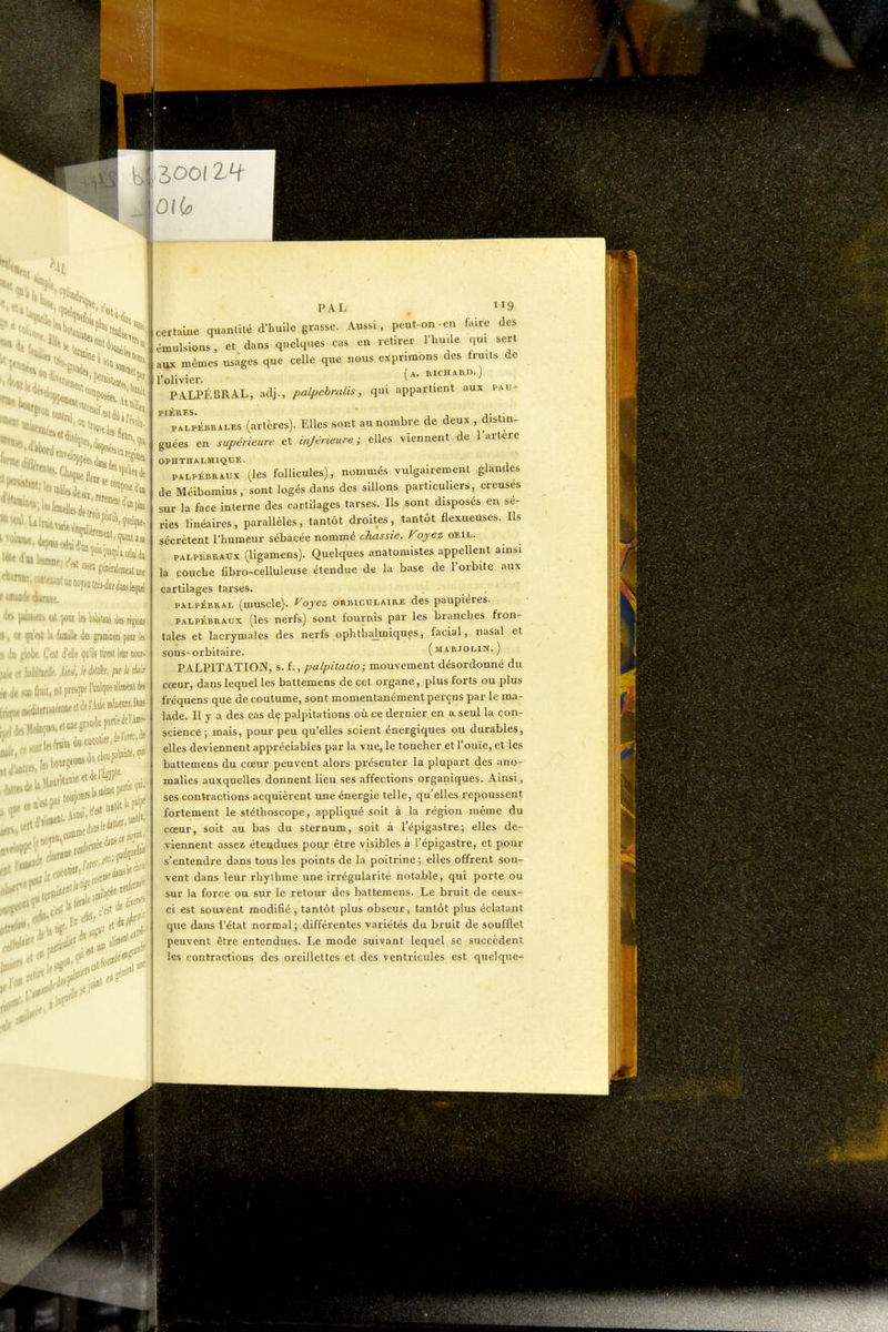 S*. ■Elit e nuide dianiDe. do jaliBieis til ;ioui Is ttto te régions I, et (ja'est la famille des gtaiinées pou lei s (iu globe. C'est d'elle qu'ils tiient lenr noor- ■ \M\atlk iim, Ifàlàr, psr li ehà .,11 fruit, esl presque runiqoeîlin''»^^ „diteria«eenneetdel'Aslemeure.Dani .Moloqo«.e(«''«H^?*!^''^' ' ■ „r «fruits <l>iwcotier,del«c,âe . .; c'est tJ»i^''' ■,;y|edâtW'' 5^ 1 ■i:'*' ,q«^l PAL 9 certaine qu.intité d'huile grasse. Aussi, peut-on -en faire des émulsions, et dans quelques cas en retirer l'hmle qui sert aux mêmes usages que celle que nous exprimons des fruits de l'olivier. ^^^«'^^O PALPÉBRAL, adj., palpebralis, qui appartient aux pau- pières, j. ■ PALPÉBRALES (artèrcs). Elles sont au nombre de deux , distin- guées en supérieure et inférieure; elles viennent de l'artère OPHTHALMIQDE. PALPÉBRAUx Cles follicules), nommés vulgairement glandes de Méibomius, sont logés dans des sillons particuliers, creuses sur la face interne des cartilages tarses. Ils sont disposés en sé- ries linéaires, parallèles, tantôt droites, tantôt flexueuses. Ils sécrètent l'humeur sébacée nommé chassie. Voyez oeil. PALPEBRACx (ligamcns). Quelques anatomistes appellent ainsi la couche fibro-celluleuse étendue de la base de l'orbite aux cartilages tarses. PALPÉBRAL (muscle). Vojcz oRBicuLAiRE des paupièrcs. PALPÉBRAUX (les nerfs) sont fournis par les branches fron- tales et lacrymales des nerfs ophthahniques, facial, nasal et sous-orbitaire. (marjolin.) PALPITATION, s. i., palpitatio ; mouvement désordonné du cœur, dans lequel les battemens de cet organe, plus forts ou plus fréquens que de coutume, sont momentanément perçus par le ma- lade. Il y a des cas de palpitations oii ce dernier en a seul la con- science ; mais, pour peu qu'elles soient énergiques ou durables, elles deviennent appréciables par la vue, le toucher et l'ouïe, et les battemens du cœur peuvent alors présenter la plupart des ano- malies auxquelles donnent lieu ses affections organiques. Ainsi, ses contractions acquièrent une énergie telle, qu'elles repoussent fortement le stéthoscope, appliqué soit à la région même du cœur, soit au bas du sternum, soit à l'épigastre; elles de- viennent assez étendues pour être visibles à l'épigastre, et pour s'entendre dans tous les points de la poitrine ; elles offrent sou- vent dans leur rhythme une irrégularité notable, qui porte ou sur la force ou sur le retour des battemens. Le bruit de ceux- ci est souvent modifié , tantôt plus obscur, tantôt plus éclatant que dans l'état normal ; différentes variétés du bruit de soufflet peuvent être entendues. Le mode suivant lequel se succèdent les contractions des oreillettes et des ventricules est quelque-