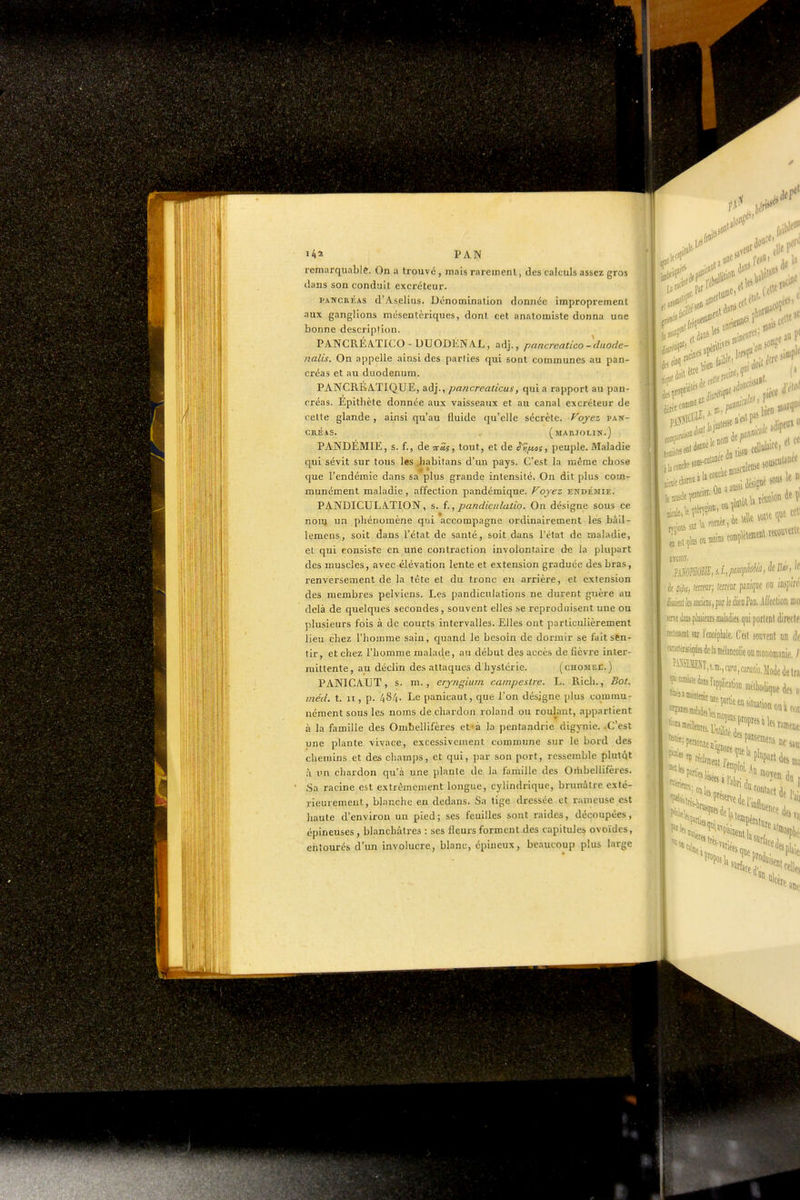 remarquable. On a trouv<5, mais rarement, des calculs assez gros dans son conduit excréteur. PANCRÉAS d'A.s,elius. Dénomination donnée improprement aux ganglions mésentèriques, dont cet anatomiste donna une bonne description. PANCRÉA.T1CO-DUODÉNA.L, adj., pancreatico -duode- nalis. On appelle ainsi des parlies qui sont communes au pan- créas et au duodénum. PANCRÉATIQUE, adj., pancreaùcus, qui a rapport au pan- créas. Epitbèle donnée aux vaisseaux et au canal excréteur de cette glande, ainsi qu'au fluide qu'elle sécrète. Voyez pan- créas. . (marjolin.) PANDÉMIE, s. f., de 7r«î, tout, et de ^?>eoî, peuple. Maladie cfui sévit sur tous les Jiabitans d'un pays. C'est la même chose <]ue l'endémie dans sa plus grande intensité. On dit plus com- munément maladie , affection pandéraique. Fojez endémie. PANDICULATION, s. î., pandiciilatio. On désigne sous ce non) un phénomène qui accompagne ordinairement les bâil- lemens, soit dans l'état de santé, soit dans l'état de maladie, et qui consiste en une contraction involontaire de la plupart des muscles, avec élévation lente et extension graduée des bras, renversement de la tête et du tionc en arrière, et extension des membres pelviens. Les pandiculations ne durent guère au delà de quelques secondes, souvent elles se reproduisent une ou plusieurs fois à de courts intervalles. Elles ont particulièrement lieu chez l'homme sain, quand le besoin de dormir se fait stn- tir, et chez l'homme malade, au début des accès de fièvre inter- mittente, au déclin des attaques d'hystérie. (chomee.) PANICAUT, s. m., eryngium campestre. L. Rich., Bot. méd. t. II, p. 48/|. Le panicaut, que l'on désigne plus commu- nément sous les noms de chardon roland ou roulant, appartient à la famille des Ombellifères et-à la pentandrie digynie. .C'est une plante vivace, excessivement commune sur le bord des chemins et des champs, et qui, par son port, ressemble plutôt à im chardon qu'à une plante de la famille des Oriibellifères. Sa racine est extrêmement longue, cylindrique, brunâtre exté- rieurement, blanche eu dedans. Sa tige dressée et rameuse est haute d'environ un pied; ses feuilles sont raides, découpées, épineuses, blanchâtres : ses fleurs forment.des capitules ovoïdes, entourés d'un involucre, blanc, épineux, beaucoup plus large 1 :i4ii> e! «f' IICIOÎ. , . BOmMÎ, diponophhia, (io « df f:,;'i,-, Kmr; \mm panigue o\\ m\m iiiaifDlleiaiicIeiij,par]e(lienPan, ilffecliûii inn sene ilms piusiears maladies qui porlont dinectc leciemeDi sur l'encépliaie, C'est soiivenl un è '™'™ii(!iies(iel.iniébcolieouiiioiioni3iiif./ tfti,s.m,,m,fmto.iio(ie(letra ^*%lbtion,néil,odiquedos ji liais i Me ma