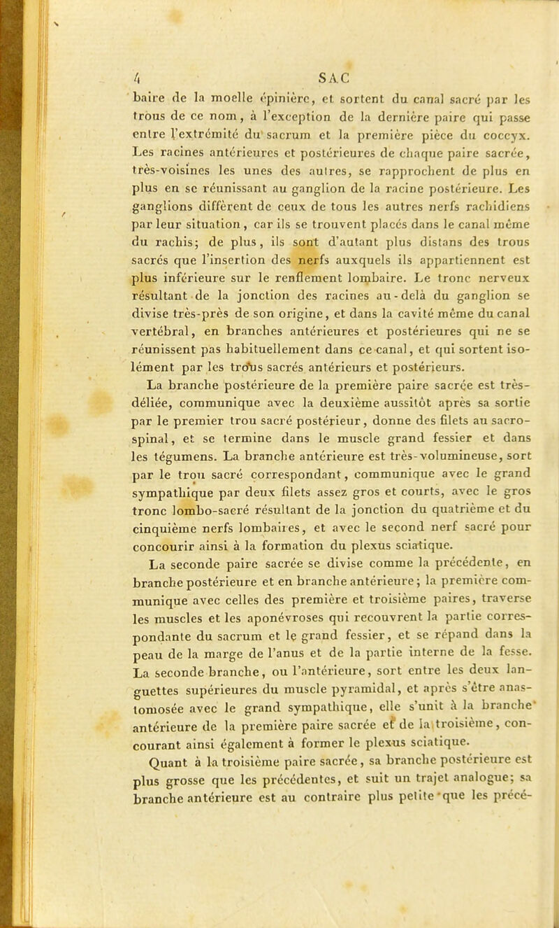 baire de la moelle épinièrc, et sortent du canal sacré par les trous de ce nom, à l'exception de la dernière paire qui passe entre l'extrémité du sacrum et la première pièce du coccyx. Les racines antérieures et postérieures de chaque paire sacrée, très-voisines les unes des aulres, se rapprochent de plus en plus en se réunissant au ganglion de la racine postérieure. Les ganglions diffèrent de ceux de tous les autres nerfs rachidiens par leur situation, car ils se trouvent placés dans le canal même du rachis; de plus, ils sont d'autant plus distans des trous sacrés que l'insertion des nerfs auxquels ils appartiennent est plus inférieure sur le renflement lombaire. Le tronc nerveux résultant de la jonction des racines au-delà du ganglion se divise très-près de son origine, et dans la cavité même du canal vertébral, en branches antérieures et postérieures qui ne se réunissent pas habituellement dans ce canal, et qui sortent iso- lément par les tro*us sacrés antérieurs et postérieurs. La branche postérieure de la première paire sacrée est très- déliée, communique avec la deuxième aussitôt après sa sortie par le premier trou sacré postérieur, donne des filets au sacro- spinal, et se termine dans le muscle grand fessier et dans les tégumens. La branche antérieure est très-volumineuse, sort par le trou sacré correspondant, communique avec le grand sympathique par deux filets assez gros et courts, avec le gros tronc lombo-sacré résultant de la jonction du quatrième et du cinquième nerfs lombaires, et avec le second nerf sacré pour concourir ainsi à la formation du plexus sciatique. La seconde paire sacrée se divise comme la précédente, en branche postérieure et en branche antérieure ; la première com- munique avec celles des première et troisième paires, traverse les muscles et les aponévroses qui recouvrent la partie corres- pondante du sacrum et le grand fessier, et se répand dans la peau de la marge de l'anus et de la partie interne de la fesse. La seconde branche, ou l'antérieure, sort entre les deux lan- guettes supérieures du muscle pyramidal, et après s'être anas- tomosée avec le grand sympathique, elle s'unit à la branche antérieure de la première paire sacrée ef de la,troisième, con- courant ainsi également à former le plexus sciatique. Quant à la troisième paire sacrée, sa branche postérieure est plus grosse que les précédentes, et suit un trajet analogue; sa branche antérieure est au contraire plus petite-que les précé-