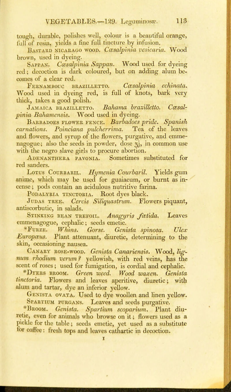 tough, durable, polishes well, colour is a beautiful orange, lull of resin, yields a fine full tincture by infusion. Bastard nicarago wood. Ccesalpinia vesicaria. Wood brown, used in dyeing. Sappan. Ccesalpinia Sappan. Wood used for dyeing red; decoction is dark coloured, but on adding alum be- comes of a clear red. Fernambouc brazilletto. Ccesalpinia echinata. Wood used in dyeing red, is full of knots, bark very thick, takes a good polish. Jamaica brazilletto. Bahama brazilletto. Casal- pinia Bahamensis. Wood used in dyeing. Barbadoes flower fence. Barbadoes pride. Spanish carnations. Poinciana pulcherrima. Tea of the leaves and flowers, and syrup of the flowers, purgative, and emme- nagogue; also the seeds in powder, dose 3j, in common use with the negro slave girls to procure abortion. Adenanthera pavonia. Sometimes substituted for red sanders. Lotus Courbaril. Hymenia Courbaril. Yields gum anime, which may be used for guaiacum, or burnt as in- cense ; pods contain an acidulous nutritive farina. Podalyria tikctoria. Root dyes black. Judas tree. Cercis Siliquastrum. Flowers piquant, antiscorbutic, in salads. Stinking bean trefoil. Anagyris Jcetida. Leaves emmenagogue, cephalic; seeds emetic. *Furze. Whins. Gorse. Genista spinosa. Ulex Europams. Plant attenuant, diuretic, determining to the skin, occasioning nausea. Canary rose-wood. Genista Canariensis. Wood, lig- num rhodium verum? yellowish, with red veins, has the scent of roses; used for fumigation, is cordial and cephalic. *Dyers broom. Green weed. Wood waxen. Genista tinctoria. Flowers and leaves aperitive, diuretic; with alum and tartar, dye an inferior yellow. Genista ovata. Used to dye woollen and linen yellow. Spartium purgans. Leaves and seeds purgative. *Broom. Genista. Spartium scoparium. Plant diu- retic, even for animals who browse on it; flowers used as a pickle for the table; seeds emetic, yet used as a substitute for coffee: fresh tops and leaves cathartic in decoction. i