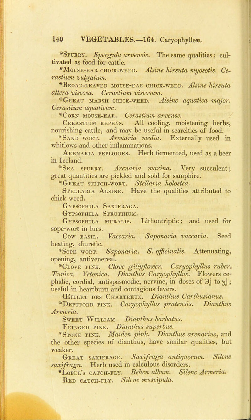 *Spurry. Spergula arvensis. The same qualities; cul- tivated as food for cattle. *Mouse-ear chick-weed. Alsine liirsuta myosotis. Ce- rastium vidgatum. *Broad-leaved mouse-ear chick-weed. Alsine hirsuta altera viscosa. Cerastium viscosum. * Great marsh chick-weed. Alsine aquatica major. Cerastium aquaticum. *Corn mouse-ear. Cerastium arvense. Cerastium repens. All cooling, moistening herbs, nourishing cattle, and may be useful in scarcities of food. *Sand wort. Arenaria media. Externally used in whitlows and other inflammations. Arenaria feploides. Herb fermented, used as a beer in Iceland. *Sea spurry. Arenaria marina. Very succulent; great quantities are pickled and sold for samphire. * Great stitch-wort. Stellaria holostea. Stellaria Alsine. Have the qualities attributed to chick weed. GypsOphila Saxifraga. Gypsophila Struthium. Gypsophila muralis. Lithontriptic; and used for sope-wort in lues. Cow basil. Vaccaria. Saponaria vaccaria. Seed heating, diuretic. *Sope wort. Saponaria. S. officinalis. Attenuating, opening, antivenereal. *Clove pink. Clove gillyflower. Caryophyllus ruber. Tunica. Vetonica. Dianthus Caryophyllus. Flowers ce- phalic, cordial, antispasmodic, nervine, in doses of 9j to 5j ; useful in heartburn and contagious fevers. CEillet des Chartreux. Dianthus Carthusianus. *Deptford pink. Caryojphyllus pratensis. Dianthus Armeria. Sweet William. Dianthus barbatus. Fringed pink. Dianthus superbus. *Stone pink. Maiden pink. Dianthus arenarius, and the other species of dianthus, have similar qualities, but weaker. Great saxifrage. Saxifraga antiquorum. Silene saxifraga. Herb used in calculous disorders. *Lobel,s catch-fly. Beheii album. Silene Armeria. Red catch-fly. Silene muscipula.