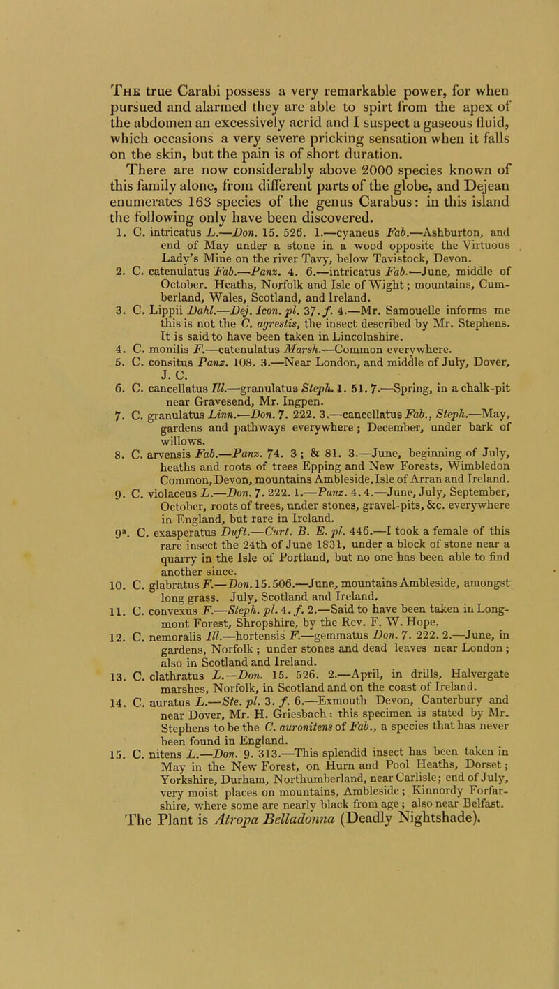 The true Carabi possess a very remarkable power, for when pursued and alarmed they are able to spht from the apex of the abdomen an excessively acrid and I suspect a gaseous fluid, which occasions a very severe pricking sensation when it falls on the skin, but the pain is of short duration. There are now considerably above 2000 species known of this family alone, from different parts of the globe, and Dejean enumerates 163 species of the genus Carabus: in this island the following only have been discovered. 1. C. intricatus L.—Don. 15. 526. 1.—cyaneus Fab.—Ashburton, and end of May under a stone in a wood opposite the Virtuous Lady's Mine on the river Tavy, below Tavistock, Devon. 2. C. catenulatus Fab.—Panz. 4. 6.—intricatus Fah.-—June, middle of October. Heaths, Norfolk and Isle of Wight; mountains, Cum- berland, Wales, Scotland, and Ireland. 3. C. Lippii Dahl.—Dej. Icon. pi. Z7.f. 4.—Mr. Samouelle informs me this is not the C. agrestis, the insect described by Mr. Stephens. It is said to have been taken in Lincolnshire. 4. C. monilis F.—catenulatus Marsh.—Common everywhere. 5. C. consitus Pam. 108. 3.—Near London, and middle of July, Dover, J. C. 6. C. cancellatua III.—granulatus Steph. 1.51. 7-—Spring, in a chalk-pit near Gravesend, Mr. Ingpen. 7. C, granulatus Linn.—Don. 7. 222. 3.—cancellatusFaJ., Steph.—May, gardens and pathways everywhere; December, under bark of willows. 8. C. arvensis Fab.—Panz. 74. 3 ; & 81. 3.—June, beginning of July, heaths and roots of trees Epping and New Forests, Wimbledon Common, Devon, mountains Ambleside, Isle of Arran and Ireland. 9. C. violaceus L.—Don. 7. 222.1.—Panz. 4.4.—June, July, September, October, roots of trees, under stones, gravel-pits, &c. everywhere in England, but rare in Ireland. 9^ C. exasperatus Duft.—Curt. B. E. pi. 446.—I took a female of this rare insect the 24th of June 1831, under a block of stone near a quarry in the Isle of Portland, but no one has been able to find another since. 10. C. glabratusF.—Dow. 15.506.—June, mountains Ambleside, amongst long grass. July, Scotland and Ireland. 11. C. convexus F.—Steph. pi. 4. /. 2.—Said to have been taken in Long- mont Forest, Shropshire, by the Rev. F. W. Hope. 12. C. nemoralis III.—hortensis F.—gemmatus Don. 7- 222. 2.—June, in gardens, Norfolk ; under stones and dead leaves near London; also in Scotland and Ireland. 13. C. clathratus L.—Don. 15. 526. 2.—April, in drills, Halvergate marshes, Norfolk, in Scotland and on the coast of Ireland. 14. C. auratus L.—Ste.pl. 3. /. 6.—Exmouth Devon, Canterbury and near Dover, Mr. H. Griesbach: this specimen is stated by Mr. Stephens to be the C. auronitens of Fab., a species that has never been found in England. 15. C. nitens L.—Don. 9. 313.—This splendid insect has been taken in May in the New Forest, on Hum and Pool Heaths, Dorset; Yorkshire, Durham, Northumberland, near Carlisle; end of July, very moist places on mountains, Ambleside ; Kinnordy Forfar- shire, where some are nearly black from age ; also near Belfast. The Plant is Airojm Belladotma (Deadly Nightshade).