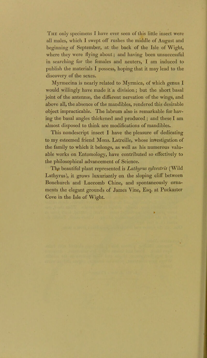 The only specimens I have ever seen of this little insect were all males, which I swept off rushes the middle of August and beginning of September, at the back of the Isle of Wight, where they were flying about; and having been unsuccessful in searching for the females and neuters, I am induced to publish the materials I possess, hoping that it may lead to the discovery of the sexes. Myrmecina is nearly related to Myrmica, of which genus I would willingly have made it a division; but the short basal joint of the antennae, the different nervation of the wings, and above all, the absence of the mandibles, rendered this desirable object impracticable. The labrum also is remarkable for hav- ing the basal angles thickened and produced ; and these I am almost disposed to think are modifications of mandibles. This nondescript insect I have the pleasure of dedicating to my esteemed friend Mons. Latreille, whose investigation of the family to which it belongs, as well as his numerous valu- able works on Entomology, have contributed so effectively to the philosophical advancement of Science. Tbfi beautiful plant represented is Lathyrus sylvestris (Wild Lathyrus), it grows luxuriantly on the sloping cliff between Bonchurch and Luccomb Chine, and spontaneously orna- ments the elegant grounds of James Vine, Esq. at Puckaster Cove in the Isle of Wight.