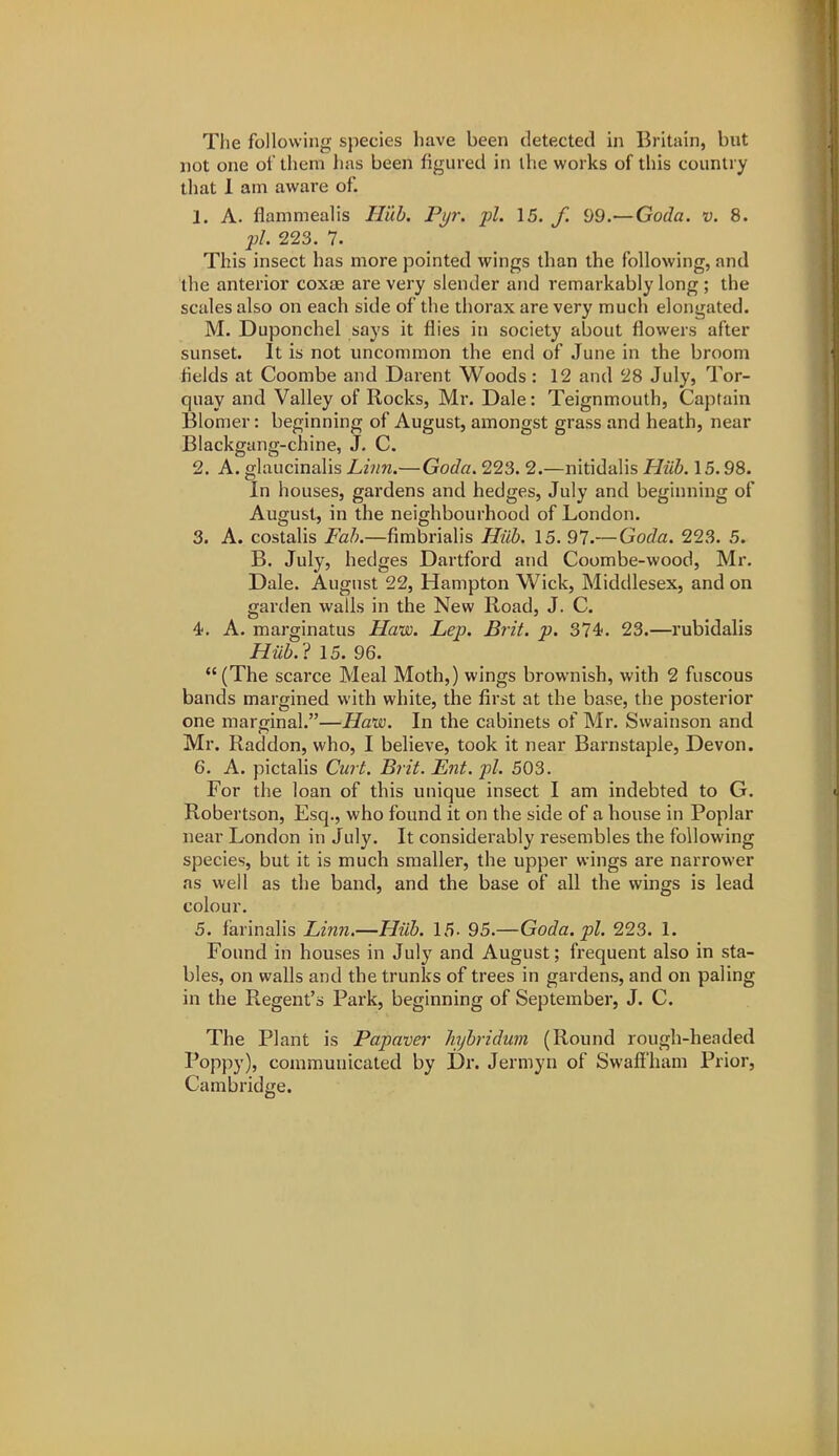 The following species have been detected in Britain, but not one ot them lias been figured in the works of this country that 1 am aware of. 1. A. flammealis Huh. Pyr. pi. 15. f. 99.—Goda. v. 8. pi. 223. 7. This insect has more pointed wings than the following, and the anterior coxae are very slender and remarkably long ; the scales also on each side of the thorax are very much elongated. M. Duponchel says it flies in society about flowers after sunset. It is not uncommon the end of June in the broom fields at Coombe and Darent Woods : 12 and 28 July, Tor- quay and Valley of Rocks, Mr. Dale: Teignmouth, Captain Blomer: beginning of August, amongst grass and heath, near Blackgang-chine, J. C. 2. A. glaucinalis Linn.— Goda. 223. 2.—nitidalis Hub. 15.98. In houses, gardens and hedges, July and beginning of August, in the neighbourhood of London. 3. A. costalis Fah.—fimbrialis Hiib. 15. 97.—Goda. 223. 5. B. July, hedges Dartford and Coombe-wood, Mr. Dale. August 22, Hampton Wick, Middlesex, and on garden walls in the New Road, J. C. 4. A. marginatus Haw. Lep. Brit. p. 374?. 23.—rubidalis Hub.^. 15. 96. (The scarce Meal Moth,) wings brownish, with 2 fuscous bands margined with white, the first at the base, the posterior one marginal.—Hais). In the cabinets of Mr. Swainson and Mr. Raddon, who, I believe, took it near Barnstaple, Devon. 6. A. pictalis Curt. Brit. Ent. pi. 503. For the loan of this unique insect I am indebted to G. Robertson, Esq., who found it on the side of a house in Poplar near London in July. It considerably resembles the following species, but it is much smaller, the upper wings are narrower as well as the band, and the base of all the wings is lead colour. 5. farinalis Linn.—Hub. 15- 95.—Goda.pl. 223. 1. Found in houses in July and August; frequent also in sta- bles, on walls and the trunks of trees in gardens, and on paling in the Regent's Park, beginning of September, J. C. The Plant is Papaver Jiyhridum (Round rough-headed Poppy), communicated by Dr. Jermyn of Swafl'ham Prior, Cambridge.