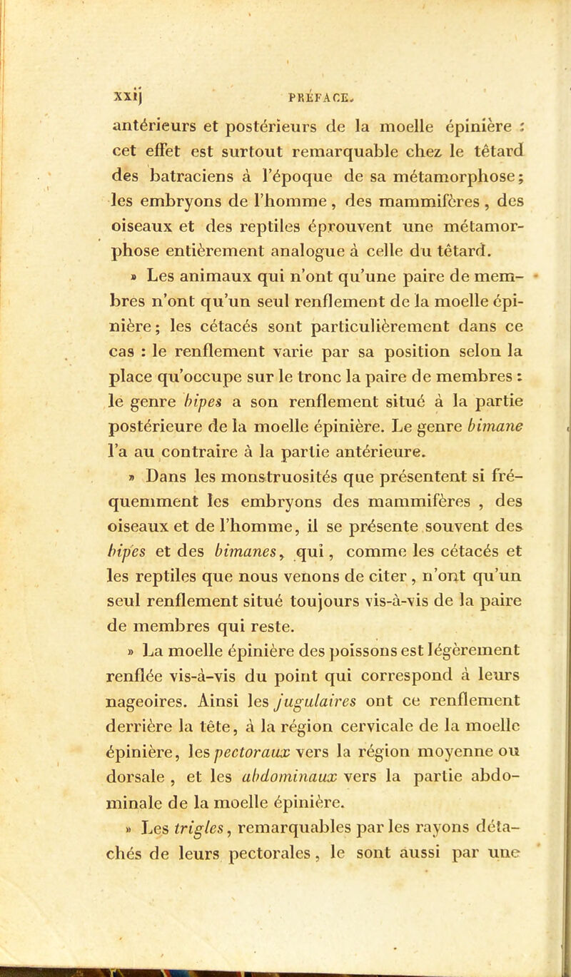 antérieurs et postérieurs de la moelle épinière : cet effet est surtout remarquable chez le têtard des batraciens à l'époque de sa métamorphose; les embryons de l'homme, des mammifères , des oiseaux et des reptiles éprouvent une métamor- phose entièrement analogue à celle du têtard. » Les animaux qui n'ont qu'une paire de mem- - bres n'ont qu'un seul renflement de la moelle épi- nière; les cétacés sont particulièrement dans ce cas : le renflement varie par sa position selon la place qu'occupe sur le tronc la paire de membres : le genre bipes a son renflement situé à la partie postérieure de la moelle épinière. Le genre bimane l'a au contraire à la partie antérieure. » Dans les monstruosités que présentent si fré- quemment les embryons des mammifères , des oiseaux et de l'homme, il se présente souvent des bipes et des bimanes, qui, comme les cétacés et les reptiles que nous venons de citer , n'ont qu'un seul renflement situé toujours vis-à-vis de la paire de membres qui reste. » La moelle épinière des poissons est légèrement renflée vis-à-vis du point qui correspond à leurs nageoires. Ainsi les jugulaires ont ce renflement derrière la tête, à la région cervicale de la moelle épinière, les pectoraux vers la région moyenne ou dorsale , et les abdominaux vers la partie abdo- minale de la moelle épinière. » Les trigles, remarquables parles rayons déta- chés de leurs pectorales, le sont aussi par une