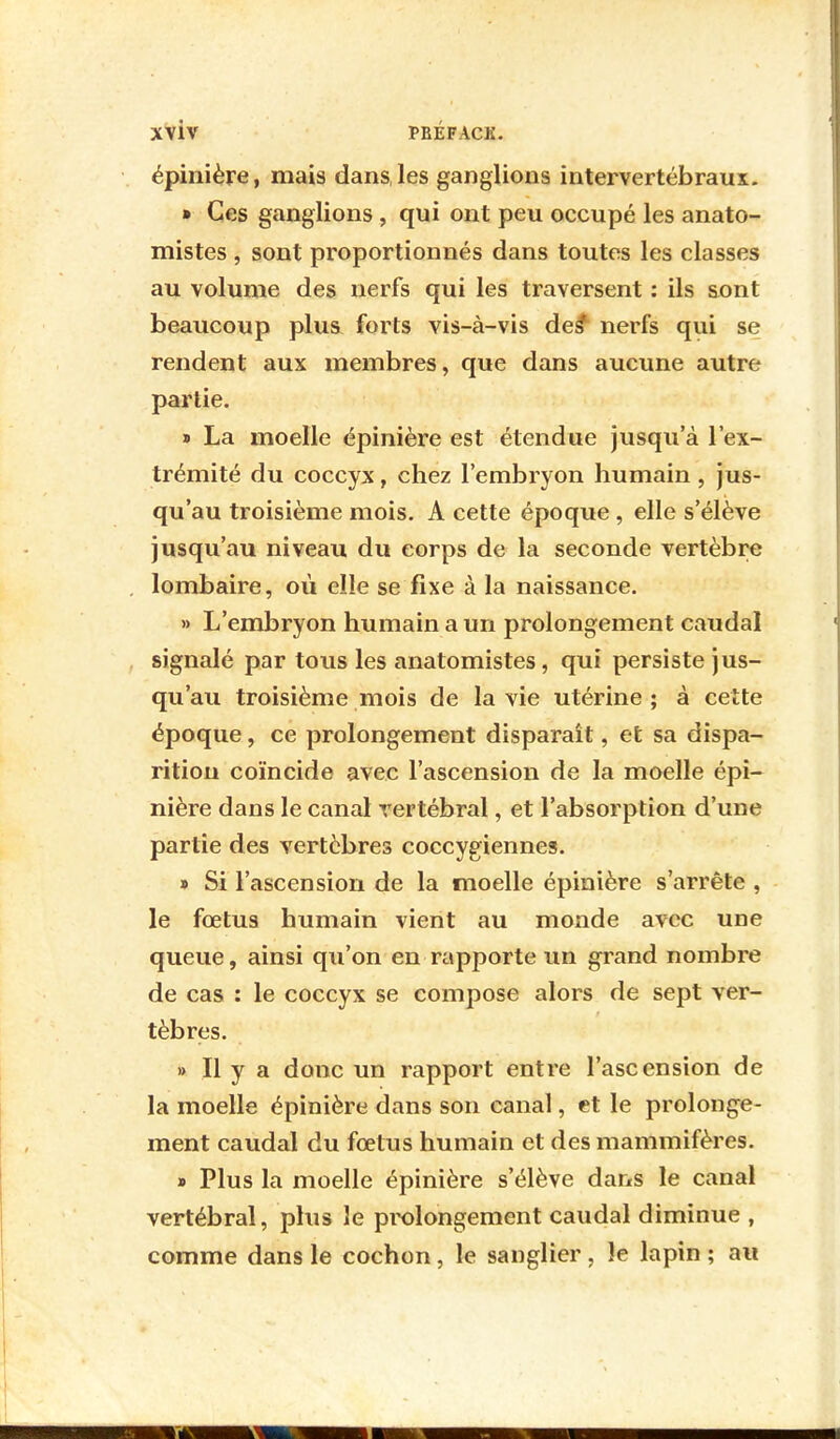 XVLV PBÉFACK. épinière, mais dans, les ganglions intervertébraux. » Ces ganglions , qui ont peu occupé les anato- mistes , sont proportionnés dans toutes les classes au volume des nerfs qui les traversent : ils sont beaucoup plus forts vis-à-vis des* nerfs qui se rendent aux membres, que dans aucune autre partie. » La moelle épinière est étendue jusqu'à l'ex- trémité du coccyx, chez l'embryon humain , jus- qu'au troisième mois. A cette époque , elle s'élève jusqu'au niveau du corps de la seconde vertèbre lombaire, où elle se fixe à la naissance. » L'embryon humain a un prolongement caudal signalé par tous les anatomistes, qui persiste jus- qu'au troisième mois de la vie utérine ; à cette époque, ce prolongement disparaît, et sa dispa- rition coïncide avec l'ascension de la moelle épi- nière dans le canal vertébral, et l'absorption d'une partie des vertèbres coccygiennes. » Si l'ascension de la moelle épinière s'arrête , le fœtus humain vient au monde avec une queue, ainsi qu'on en rapporte un grand nombre de cas : le coccyx se compose alors de sept ver- tèbres. » Il y a donc un rapport entre l'ascension de la moelle épinière dans son canal, et le prolonge- ment caudal du fœtus humain et des mammifères. » Plus la moelle épinière s'élève dans le canal vertébral, plus le prolongement caudal diminue , comme dans le cochon, le sanglier, !e lapin ; au