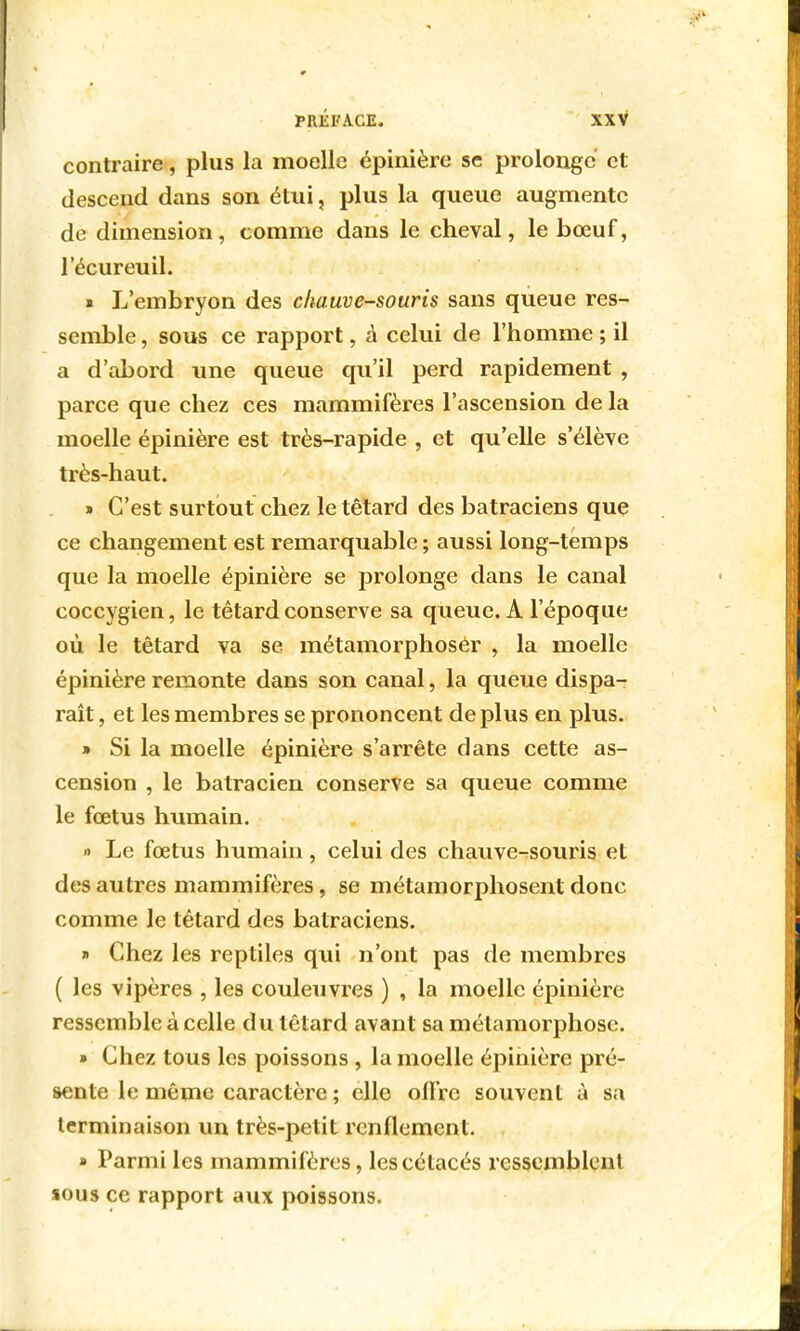 contraire, plus la moelle épinière se prolonge et descend dans son étui, plus la queue augmente de dimension, comme dans le cheval, le bœuf, lecureuil. » L'embryon des chauve-souris sans queue res- semble , sous ce rapport, à celui de l'homme ; il a d'abord une queue qu'il perd rapidement , parce que chez ces mammifères l'ascension de la moelle épinière est très-rapide , et qu'elle s'élève très-haut. » C'est surtout chez le têtard des batraciens que ce changement est remarquable ; aussi long-temps que la moelle épinière se prolonge dans le canal coccygien, le têtard conserve sa queue. A l'époque où le têtard va se métamorphoser , la moelle épinière remonte dans son canal, la queue dispa- raît , et les membres se prononcent de plus en plus. » Si la moelle épinière s'arrête dans cette as- cension , le batracien conserve sa queue comme le fœtus humain. » Le fœtus humain, celui des chauve-souris et des autres mammifères, se métamorphosent donc comme le têtard des batraciens. » Chez les reptiles qui n'ont pas de membres ( les vipères , les couleuvres ) , la moelle épinière ressemble à celle du têtard avant sa métamorphose. » Chez tous les poissons , la moelle épinière pré- sente le même caractère ; elle ofl're souvent à sa terminaison un très-petit renflement. » Parmi les mammifères, les cétacés ressemblent sous ce rapport aux poissons.