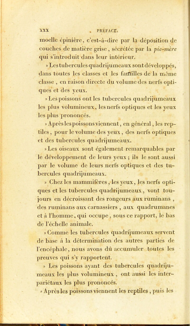 moelle épinière, c'est-à-dire par la déposition de couches de matière grise , sécrétée par la pic-mère qui s'introduit dans leur intérieur. «Les tubercules quadrijumeaux sont développés, dans toutes les classes et les familles de la même classe , en raison directe du volume des nerfs opti- ques et des yeux. «Lespoissons ont les tubercules quadrijumeaux les plus volumineux, les nerfs optiques et les yeux les plus prononcés. «Après les poissons viennent, en général, les rep- tiles , pour le volume des yeux, des nerfs optiques et des tubercules quadrijumeaux. «Les oiseaux sont également remarquables par le développement de leurs yeux ; ils le sont aussi par le volume de leurs nerfs optiques et des tu- bercules quadrijumeaux. » Chez les mammifères, les yeux, les nerfs opti- ques et les tubercules quadrijumeaux, vont tou- jours en décroissant des rongeurs aux ruminans , des ruminans aux carnassiers , aux quadrumanes et à l'homme, qui occupe , sous ce rapport, le bas de l'échelle animale. » Comme les tubercules quadrijumeaux servent de base à la détermination des autres parties de l'encéphale, nous avons dû accumuler toutes les preuves qui s'y rapportent. » Les poissons ayant des tubercules quadriju- meaux les plus volumineux , ont aussi les inter- pariétaux les plus prononcés. » Après les poissons viennent les reptiles , puis les