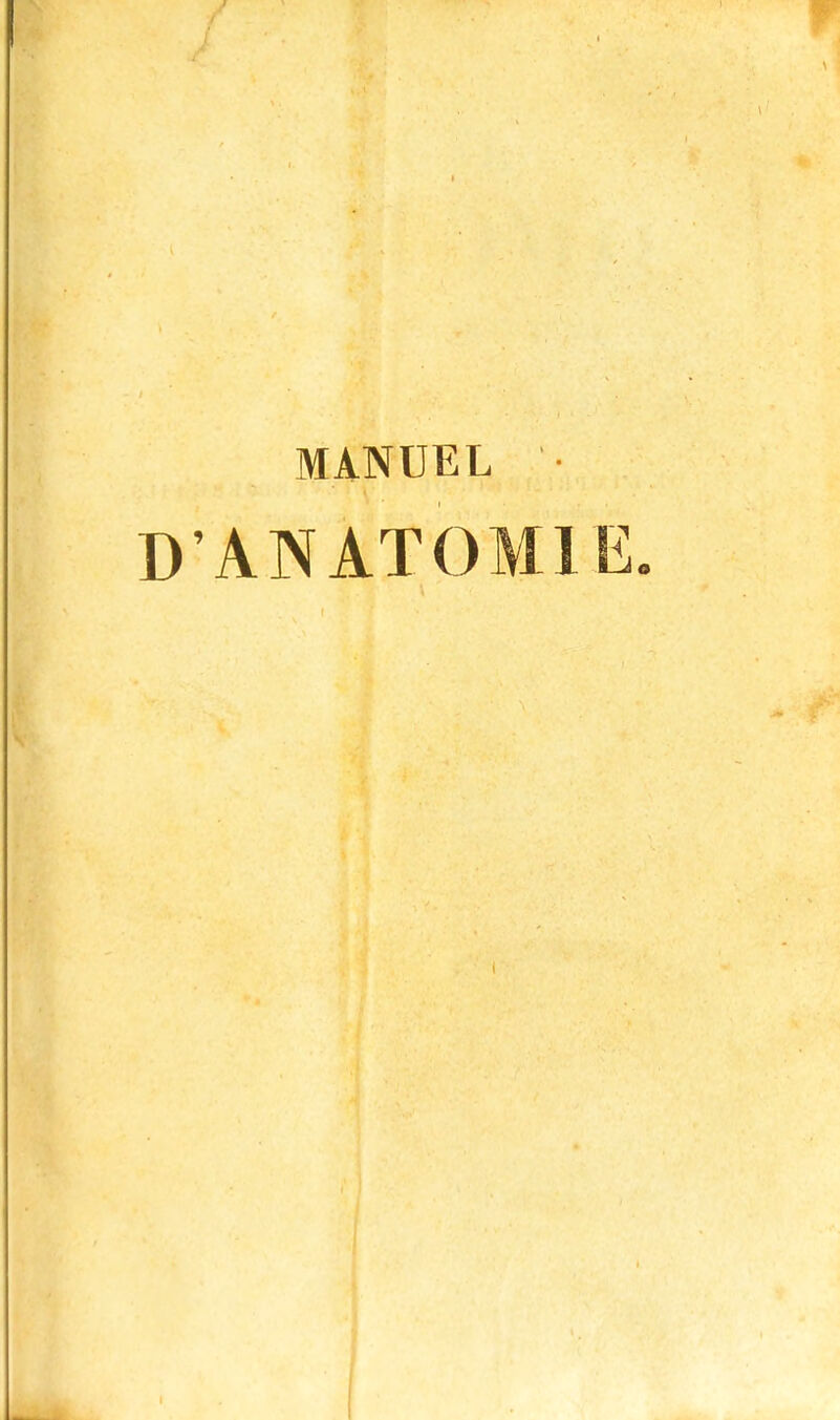 MANUEL '• D'ANATOMl