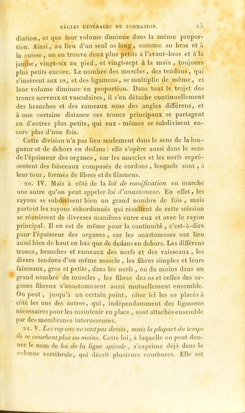 dialion, et que leur volume diminue dans la mémo propor- tion. Ainsi, au lieu d'un seul os long, comme au bras et à la cuisse , on en trouve deux plus petits à l'avant-bras et à la jambe, vingt-six au pied, et vingt-sept à la main, toujours plus petits encore. Le nombre des muscles, des tendons, qui s'insèrent aux os, et des ligamens, se multiplie de même, et leur volume diminue en proportion. Dans tout le trajet des troncs nerveux et vasculaires, il s'en détache continuellement des branches et des rameaux sous des angles différens, et à une certaine distance ces troncs principaux se partagent en d'autres plus .petits, qui eux-mêmes se subdivisent en- core plus d'une fois. Cette division n'a pas lieu seulement dans le sens de la lon- gueur et de dehors en dedans: elle s'opère aussi dans le sens de l'épaisseur des organes, car les muscles et les nerfs repré- sentent des faisceaux composés de cordons , lesquels sont, à leur tour, formés de fibres et de filamens. 20. IV. Mais à côté de la loi de ramification en marche une autre qu'on peut appeler-loi d'anastomose. En effet, les rayons se subdivisent bien un grand nombre de fois , mais partout les rayons subordonnés qui résultent de celte scission se réunissent de diverses manières entre eux et avec le rayon principal. Il en est de même pour la continuité , c'est-à-dire pour l'épaisseur des organes , car les anastomoses ont lieu aussi bien de haut en bas que de dedans en dehors. Les différens troncs, branches et rameaux des nerfs et des vaisseaux, les divers tendons d'un même muscle , les fibres simples et leurs faisceaux, gros et petits, dans les nerfs, ou du moins dans un grand nombre de muscles , les fibres des os et celles des or- ganes fibreux s'anastomosent aussi mutuellement ensemble. On peut, jusqu'à un certain point, citer ici les os placés à côté les uns des autres, qui, indépendamment des ligamens nécessaires pour les maintenir en place, sont attachés ensemble par des memhrnnes interosseuses. 21. V. Les rayons ne sont pas droits, mais la plupart du temps ils se courbent plus ou moins. Celte loi, à laquelle on peut don- ner le nom de loi de la ligne spirale, s'exprime déjà dans la colonne vertébrale, qui décrit plusieurs courbures. Elle est