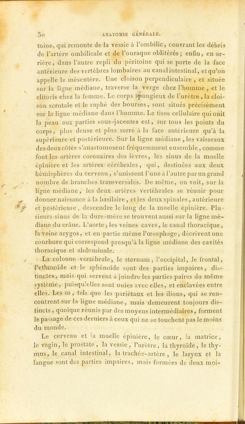 toine, qui remonte de la vessie à l'ombilic, couvrant les débris de l'artère ombilicale et de l'ouraque oblitérés; enfln, en ar- rière, dans l'autre repli du péritoine qui se porte de la face antérieure des vertèbres lombaires au eanalintestinal, etqu'on appelle le mésentère. Une cloison perpendiculaire , et située sur la ligne médiane, traverse la verge chez l'homme, et le clitoris chez la femme. Le corps spongieux de l'urètre,la cloi- son scrotale et le raphé des bourses, sont situés précisément sur la ligne médiane dans l'homme. Le tissu cellulaire qui unit la peau aux parties sous-jacentes est, sur tous les points du corps, plus dense et plus serré à la face antérieure qu'à la supérieure et postérieure. Sur la ligne médiane , les vaisseaux des deux côtés s'anastomosent fréquemment ensemble, comme font les artères coronaires des lèvres, les sinus de la moelle épinière et les artères cérébrales, qui, destinées aux deux hémisphères du cerveau, s'unissent l'une à l'autre par un grand nombre de branches transversales. De même, on voit, sur la ligue médiane, les deux artères Vertébrales se réunir pour donner naissance à la basilaire, et les deux spinales, antérieure et postérieure, descendre le long de la moelle épinière. Plu- sieurs sinus de la dure-mère se trouvent aussi sur la ligne mé- diane du crâne. L'aorte, les veines caves, le canal thoracique, la veine azygos, et en partie même l'œsophiige, décrivent une courbure qui correspond presqu'à la ligne médiane des cavités thoracique et abdominale. La colonne vertébrale,, le sternum, l'occipital, le frontal, l'ethmoïde et le sphénoïde :>ont des parties impaires, dis- tinctes, mais qui servent à joindre les parties paires du même système, puisqu'elles sont unies avec elles, et enclavées entre elles. Les os, tels que les pariétaux et les ilions, qui se ren- contrent sur la ligne médiane, mais demeurent toujours dis- tincts , quoique réunis par des moyens intermédiaires, forment le passage de ces derniers à ceux qui ne se touchent pas le moins du monde. Le cerveau et la moelle épinière, le cœur, la matrice, le vagin, le prostate , la vessie , l'urètre, la thyroïde , le thy- mus, le canal intestinal, la trachée-artère, le larynx et la langue sont des parties impaires, mais formées de deux moi-