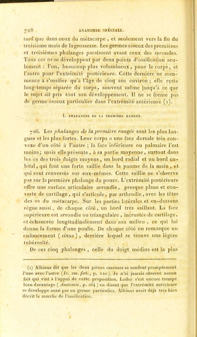 tard que dans ceux du métacarpe , el seulement vers la fin du troisième mois de la grossesse. Les germes osseux des premières et troisièmes phalanges paraissent avant ceux des secondes. Tous ces os se développent par deux points d'ossiBcation seu- lement : l'un, beaucoup plus volumineux, pour le corps, et l'autre pour l'extrémité postérieure. Cette dernière ne com- mence a s'ossifier qu'à l'âge de cinq ans environ ; elle reste long-temps séparée du corps, souvent même jusqu'à ce que le sujet ait pris tout son développement. Il ne se forme pas de germe osseux particulier dans l'extrémité antérieure (1). I. PHALANGES DK LA PREMIERE RANGÉE. 726. Les phalanges de la première rangée sont les plus lon- gues et les plus fortes. Leur corps a une face dorsale, très con- vexe d'un côté à l'autre ; la face inférieure ou palmaire l'est moins; mais elleprésente, à sa partie moyenne, surtout dans les os des trois doigts moyens, un bord radial et un bord cu- bital, qui font une forte saillie dans la paume de la main , et qui sont renversés sur eux-mêmes. Cette saillie ne s'observe pas sur la première phalange du pouce. L'extrémité postérieure offre une surface articulaire arrondie, presque plane et cou- verte de cartilage, qui s'articule, par arthrodie, avec les têtes des os du métacarpe. Sur les parties latérales, et en-dessous règne aussi, de chaque côté, un bord très saillant. La face supérieure est arrondie ou triangulaire , incrustée de cartilage, etéchancrée longitudinalement dans son milieu, ce qui lui donne la forme d'une poulie. De chaque côté on remarque un enfoncement [sinus), derrière lequel se trouve une légère tubérosité. De ces cinq phalanges , celle du doigt médius est la plus (1) Albinus dit que les deux pièces osseuses se soudent promptenient l'une avec l'autre (le. oss. fœt., p. 120). Je n'ai jamais observé aucun lait qui vînt à l'appui de cette proposition. Loder s'est encore trompé bien davantage ( Anatomic, p. 264 ) en disant que l'extrémité antérieure se développe aussi par un germe particulier. Albinus avait déjà très bien décrit la marche de l'ossification.