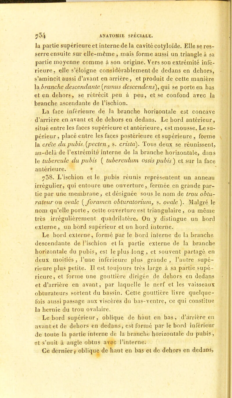 la partie supérieure et interne de la cavité cotyloïde. Elleseres- serreensuite sur elle-même, triais forme aussi un triangle à sa partie moyenne comme à son origine. Vers son extrémité infé- rieure, elle s'éloigne considérablement de dedans en dehors, s'amincit aussi d'avant en arrière, et produit de cette manière la branche descendante [ramus descendens), qui se porte en bas et en dehors, se rétrécit peu à peu, et se confond avec la branche ascendante de l'ischion. La face inférieure de la branche horizontale est concave d'arrière en avant et de dehors eu dedans. Le bord antérieur, situé entre les faces supérieure et antérieure, est mousse. Le su- périeur, placé entre les faces postérieure et supérieure , forme la crête du pubis {pecten, s. cristd). Tous deux se réunissent, au-delà de l'extrémité interne de la branche horizontale, dans le tubercule du pubis ( tuberculum ossis pubis) et sur la face antérieure. • 738. L'ischion et le pubis réunis représentent un anneau irrégulier, qui entoure une ouverture, fermée en grande par- tie par une membrane, et désignée sous le nom de trou obtu- rateur ou ovale (forarnen obturatorium, s. ovale). Malgré le nom qu'elle porte, celte ouverture est triangulaire, ou même très irrégulièrement quadrilatère. On y distingue un bord externe, un bord supérieur et un bord interne. Le bord externe, formé par le bord interne de la branche descendante de l'ischion et la partie externe de la branche horizontale du pubis, est le plus long, et souvent partagé en deux moitiés , l'une inférieure plus grande , l'autre supé- rieure plus petite. Il est toujours très large à sa partie supé- rieure, et forme une gouttière dirigée de dehors en dedans et d'arrière en avant, par laquelle le nerf et les vaisseaux obturateurs sortent du bassin. Cette gouttière livre quelque- fois aussi passage aux viscères du bas-ventre, ce qui constitue la hernie du trou ovalaire. Le bord supérieur, oblique de haut en bas, d'arrière en avant et de dehors en dedans, est formé par le bord inférieur de toute la partie interne de la branche horizontale du pubis, et s'unit à angle obtus avec l'interne. Ce dernier, oblique de haut en bas et de dehors en dedans,