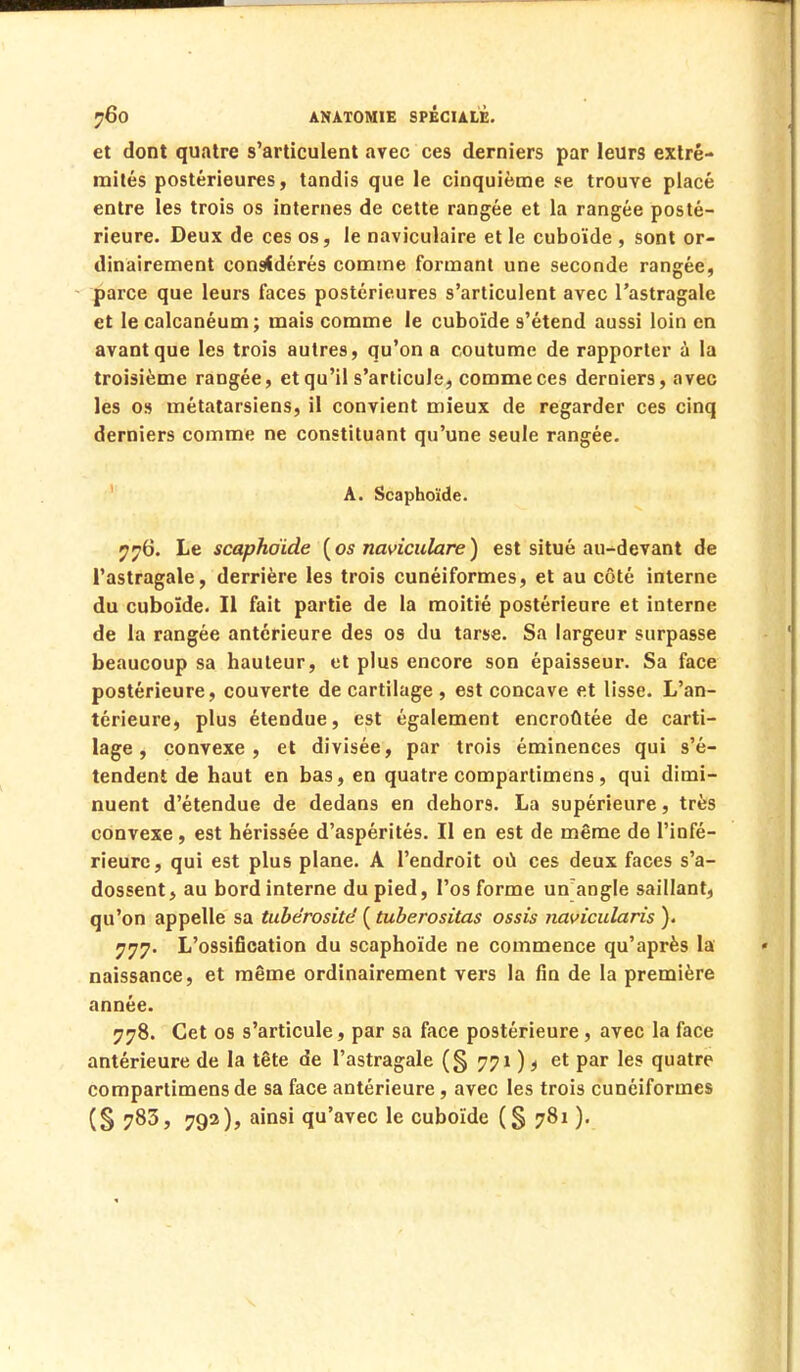 et dont quatre s'articulent avec ces derniers par leurs extré- mités postérieures, tandis que le cinquième se trouve placé entre les trois os internes de cette rangée et la rangée posté- rieure. Deux de ces os, le naviculaire et le cuboïde , sont or- dinairement considérés comme formant une seconde rangée, parce que leurs faces postérieures s'articulent avec l'astragale et le calcanéum; mais comme le cuboïde s'étend aussi loin en avant que les trois autres, qu'on a coutume de rapporter à la troisième rangée, et qu'il s'articule, comme ces derniers, avec les os métatarsiens, il convient mieux de regarder ces cinq derniers comme ne constituant qu'une seule rangée. A. Scaphoïde. 776. Le scaphoïde {os naviculare) est situé au-devant de l'astragale, derrière les trois cunéiformes, et au côté interne du cuboïde. Il fait partie de la moitié postérieure et interne de la rangée antérieure des os du tarse. Sa largeur surpasse beaucoup sa hauteur, et plus encore son épaisseur. Sa face postérieure, couverte de cartilage , est concave et lisse. L'an- térieure, plus étendue, est également encroûtée de carti- lage, convexe, et divisée, par trois éminences qui s'é- tendent de haut en bas, en quatre compartimens, qui dimi- nuent d'étendue de dedans en dehors. La supérieure, très convexe, est hérissée d'aspérités. Il en est de même de l'infé- rieure, qui est plus plane. A l'endroit où ces deux faces s'a- dossent, au bord interne du pied, l'os forme un angle saillant, qu'on appelle sa tubérosité { tuberositas ossis navicularis ). 777. L'ossification du scaphoïde ne commence qu'après la naissance, et même ordinairement vers la fin de la première année. 778. Cet os s'articule, par sa face postérieure , avec la face antérieure de la tête de l'astragale (§ 771 ), et par les quatre compartimens de sa face antérieure, avec les trois cunéiformes (S 7^3, 792), ainsi qu'avec le cuboïde (§ 781 ).