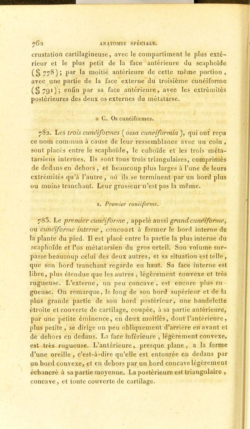 crustation cartilagineuse, avec le compartiment le plus exté- rieur et le plus petit de la face antérieure du scaphoïde (S 778 ) ; Par 'a moitié antérieure de cette même portion, avec une partie de la face externe du troisième cunéiforme (§79i)j enfin Par sa face antérieure, avec les extrémités postérieures des deux os externes du métatarse. Ç, Os cunéiformes. 782. Les trois cunéiformes (ossa cuneiformia ), qui ont reçu ce nom commun à cause de leur ressemblance avec un coin , sont placés entre le scaphoïde, le cuboïde et les trois méta- tarsiens internes. Ils sont tous trois triangulaires, comprimés de dedans en dehors , et beaucoup plus larges à l'une de leurs extrémités qu'à l'autre, où ils se terminent par un bord plus ou moins tranchant. Leur grosseur n'est pas la même. a. Premier cunéiforme. 785. Le premier cunéiforme, appelé aussi grand cunéiforme, ou cunéiforme interne, concourt à former le bord interne de la plante du pied. Il est placé entre la partie la plus interne du pcaphoïde et l'os métatarsien du gros orteil. Son volume sur- passe beaucoup celui des deux autres, et sa situation est telle, que son bord tranchant regarde en haut. Sa face interne est libre, plus étendue que les autres , légèrement convexe et très rugueuse. L'externe, un peu concave, est encore plus ru gueuse. On remarque, le long de son bord supérieur et de la plus grande partie de son bord postérieur, une bandelette étroite et couverte de cartilage, coupée, à sa partie antérieure, par une petite éminence, en deux moitiés, dont l'antérieure, plus petite , se dirige un peu obliquement d'arrière en avant et de dehors en dedans. La face inférieure , légèrement convexe, est très rugueuse. L'antérieure, presque plane, a la forme d'une oreille , c'est-à-dire qu'elle est entourée en dedans par un bord convexe, et en dehors par un bord concave légèrement échancré à sa partie moyenne. La postérieure est triangulaire , concave, et toute couverte de cartilage.