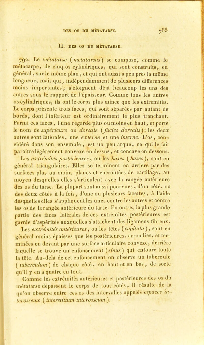 II. DES OS DU MÉTATARSE. 792. Le métatarse (metatarsus) se compose, comme le métacarpe, de cinq os cylindriques, qui sont construits, en général, sur le même plan , et qui ont aussi à peu près la même longueur, mais qui, indépendamment de plusieurs différences moins importantes, s'éloignent déjà beaucoup les uns des autres sous le rapport de l'épaisseur. Comme tous les autres os cylindriques, ils ont le corps plus mince que les extrémités. Le corps présente trois faces, qui sont séparées par autant de bords, dont l'inférieur est ordinairement le plus tranchant. Parmi ces faces, l'une regarde plus ou moins en haut, et porte le nom de supérieure ou dorsale [faciès dorsalis); les deux autres sont latérales, une externe et une interne. L'os, con- sidéré dans son ensemble, est un peu arqué, ce qui le fait paraître légèrement convexe en dessus, et concave en dessous. Les extrémités postérieures , ou les bases ( bases ), sont en général triangulaires. Elles se terminent en arrière par des surfaces plus ou moins planes et encroûtées de cartilage, au moyen desquelles elles s'articulent avec la rangée antérieure des os du tarse. La plupart sont aussi pourvues, d'un côté, ou des deux côtés à la fois, d'une ou plusieurs facettes, à l'aide desquelles elles s'appliquent les unes contre les autres et contre les os de la rangée antérieure du tarse. Eu outre, la plus grande partie des faces latérales de ces extrémités postérieures est garnie d'aspérités auxquelles s'attachent des ligamens fibreux. Les extrémités antérieures, ou les tètes {capitula), sont en général moins épaisses que les postérieures, arrondies, et ter- minées en devant par une surface articulaire convexe, derrière laquelle se trouve un enfoncement (sinus) qui entoure toute la tête. Au-delà de cet enfoncement on observe un tubercule ( tuberculum ) de chaque côté , en haut et en bas, de sorte qu'il y en a quatre en tout. Comme les extrémités antérieures et postérieures des os du métatarse dépassent le corps de tous côtés , il résulte de là qu'on observe entre ces os des intervalles appelés espaces in- terosseux ( interstitium interosseum ).